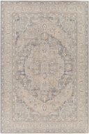 Surya Avant Garde AVT-2337 Denim Area Rug by LIVABLISS