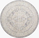 Surya Avant Garde AVT-2337 Denim Area Rug by LIVABLISS