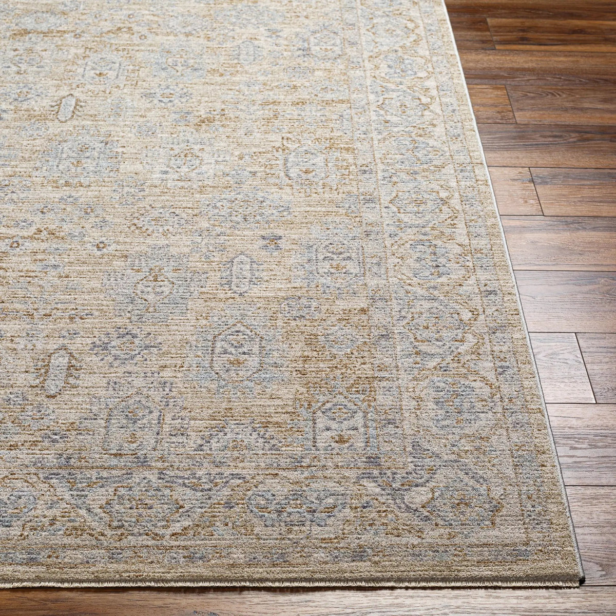 Avant Garde AVT-2340 Light-Brown Area Rug by LIVABLISS