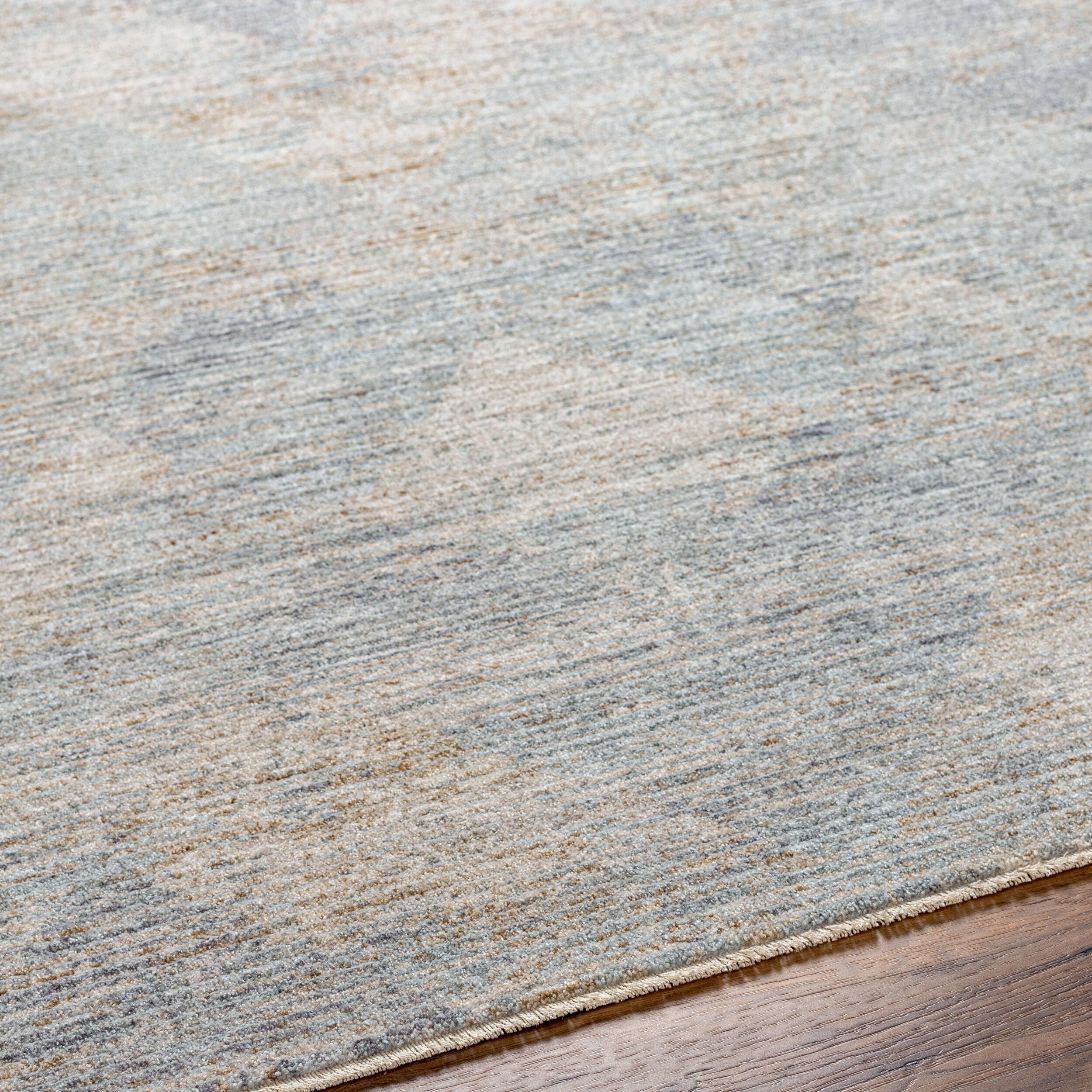 Surya Avant Garde AVT-2356 Charcoal Area Rug by LIVABLISS