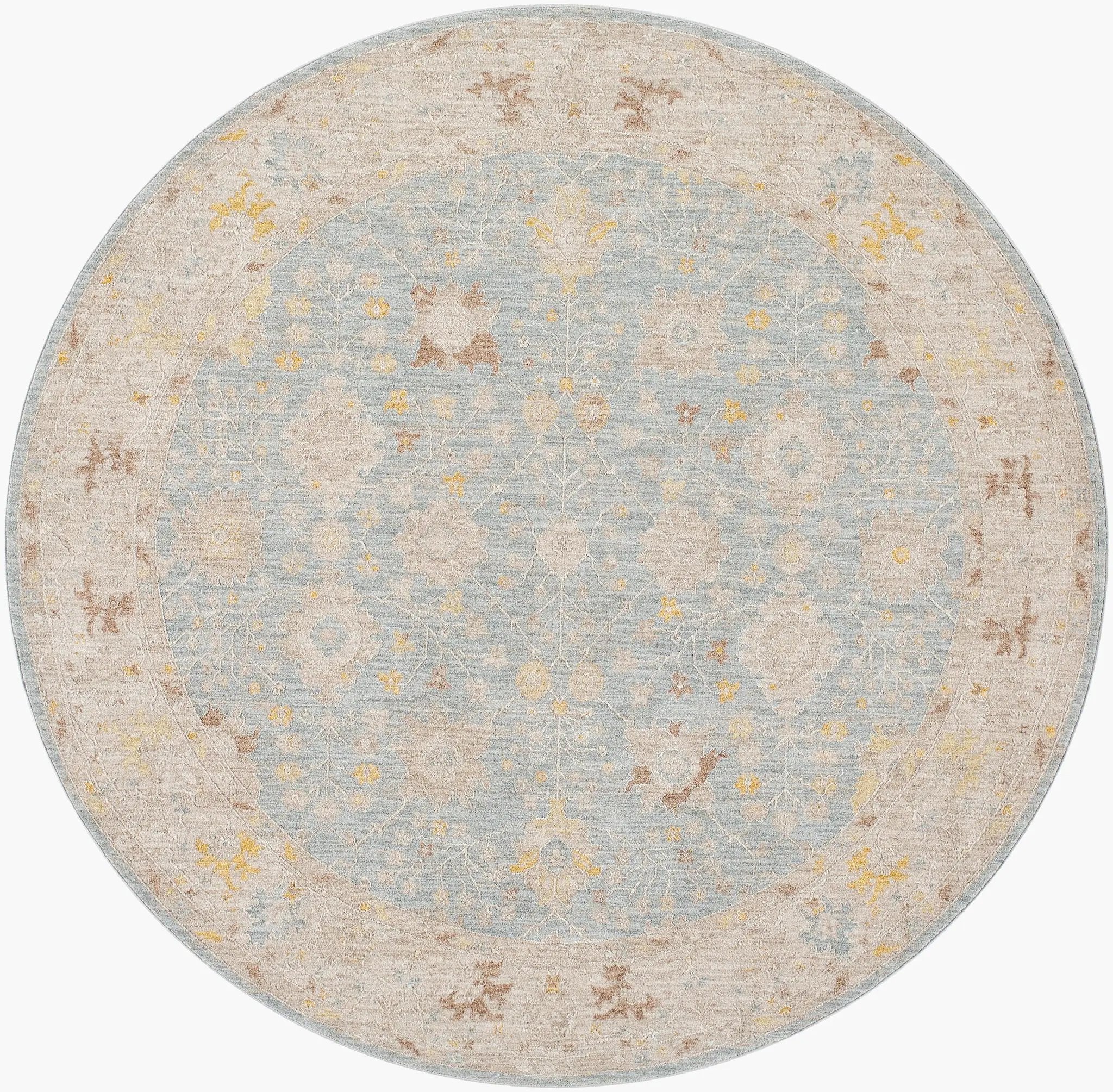 Avant Garde AVT-2369 Light-Blue Area Rug by LIVABLISS