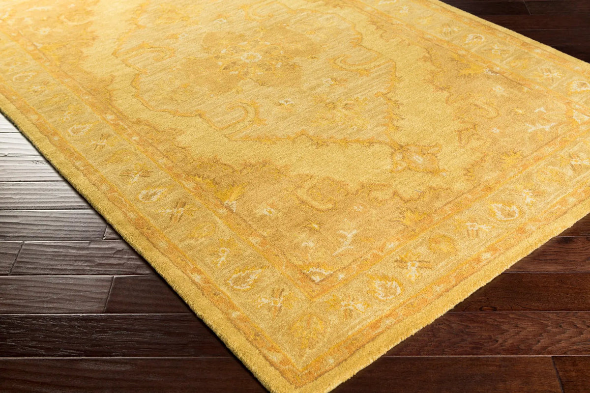 Middleton AWHR-2059 Yellow Area Rug by LIVABLISS