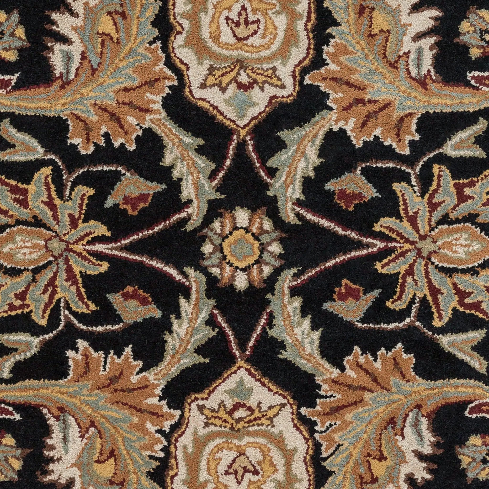 Middleton AWMD-2078 Black Area Rug by LIVABLISS