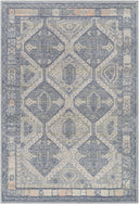 Surya Addyson AYO-2301 Blue Area Rug by LIVABLISS