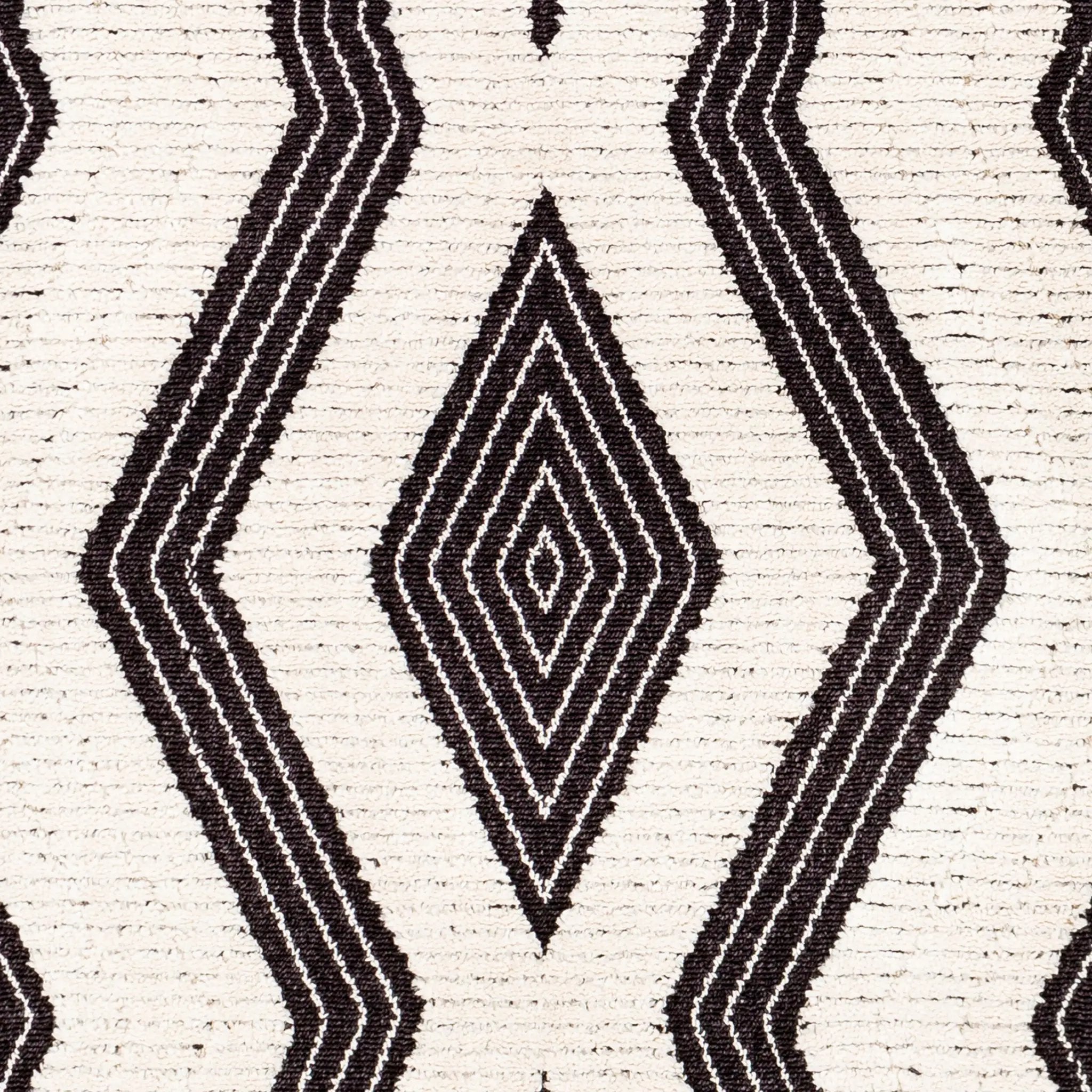 Azilal AZI-2300 Black Area Rug by LIVABLISS
