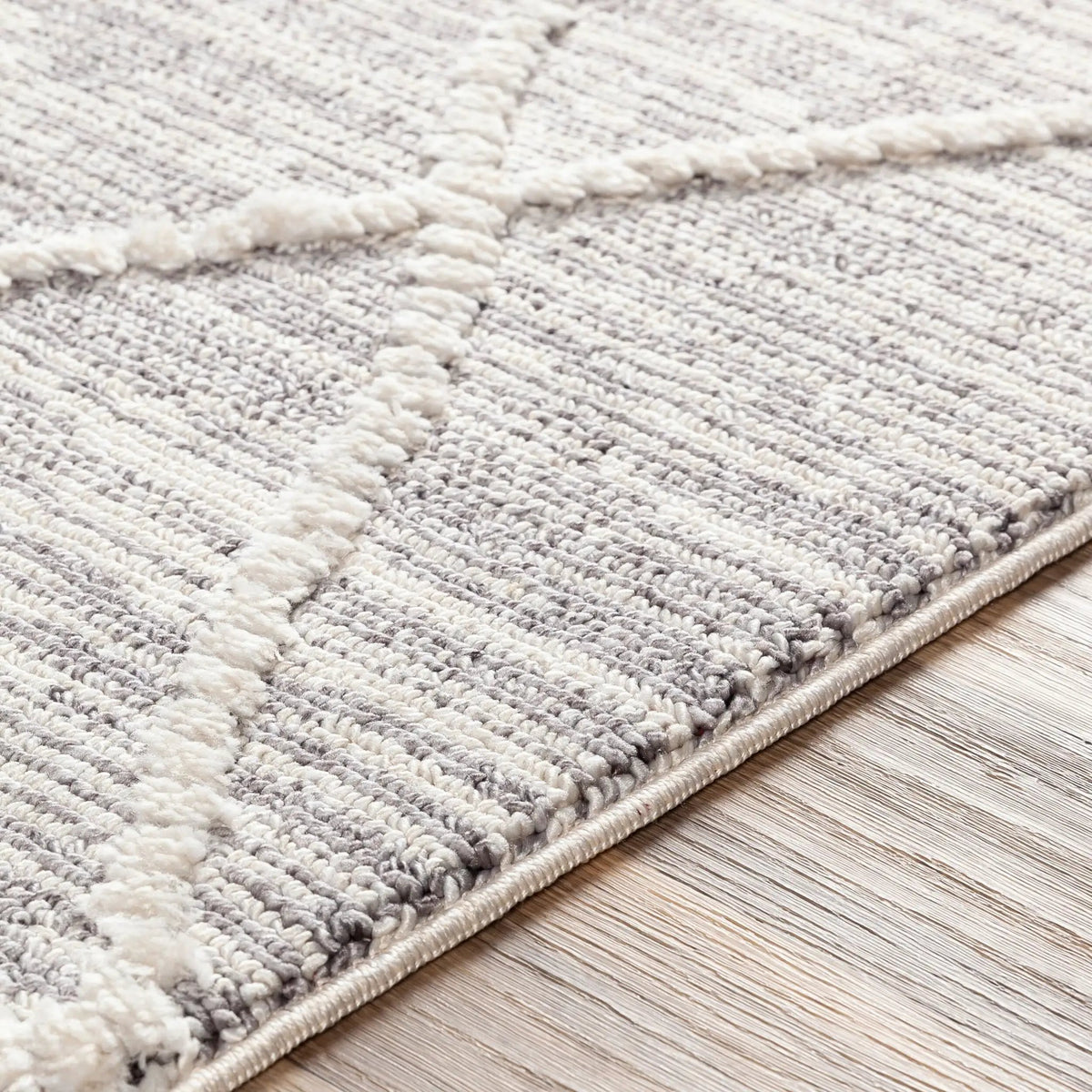 Azilal AZI-2304 Gray Area Rug by LIVABLISS