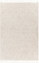 Surya Azilal AZI-2318 Ivory Area Rug by LIVABLISS