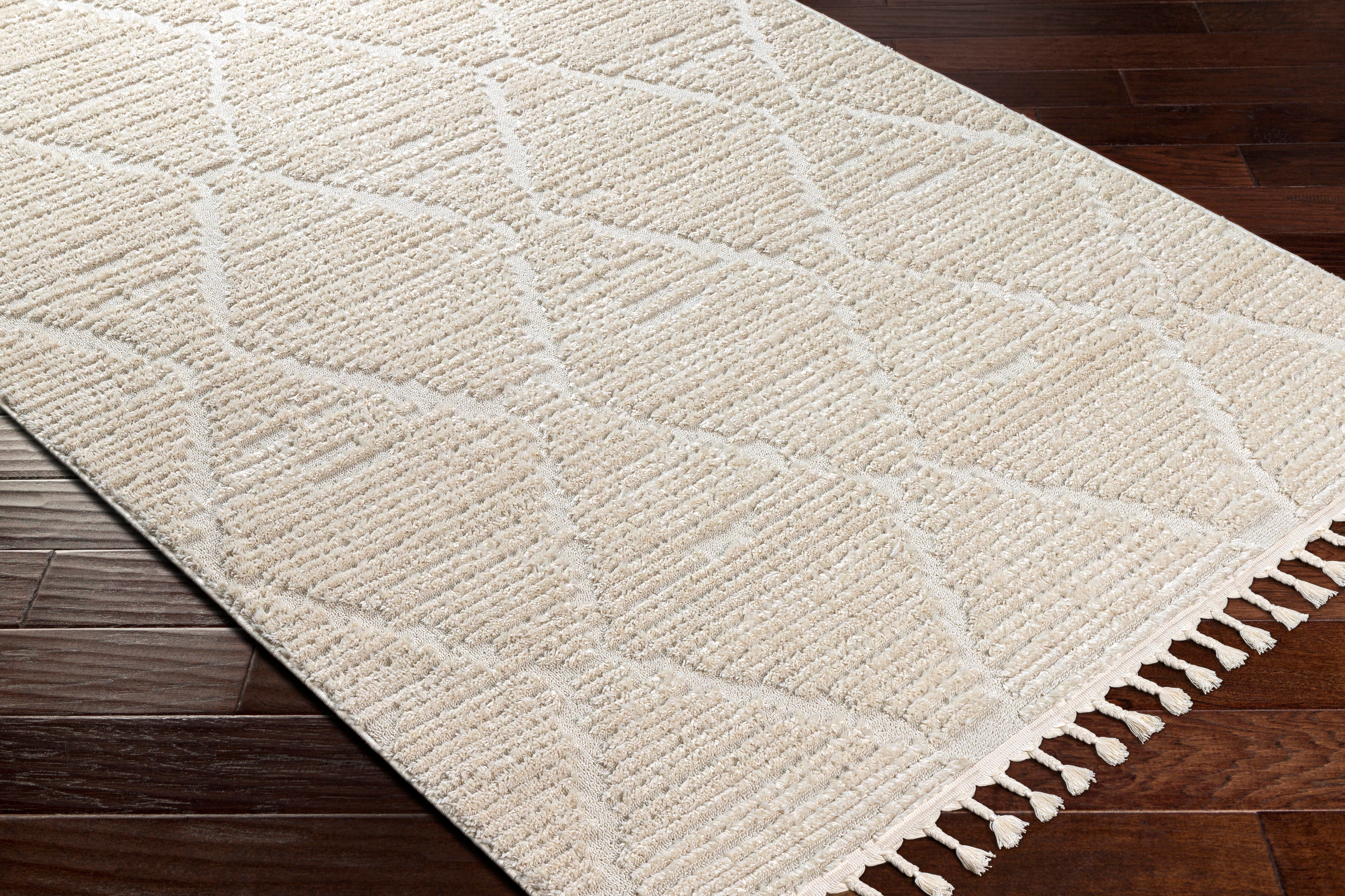 Surya Azilal AZI-2318 Ivory Area Rug by LIVABLISS