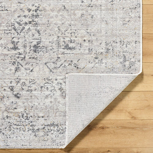 Surya Azhar AZR-2302 Pewter Area Rug by LIVABLISS