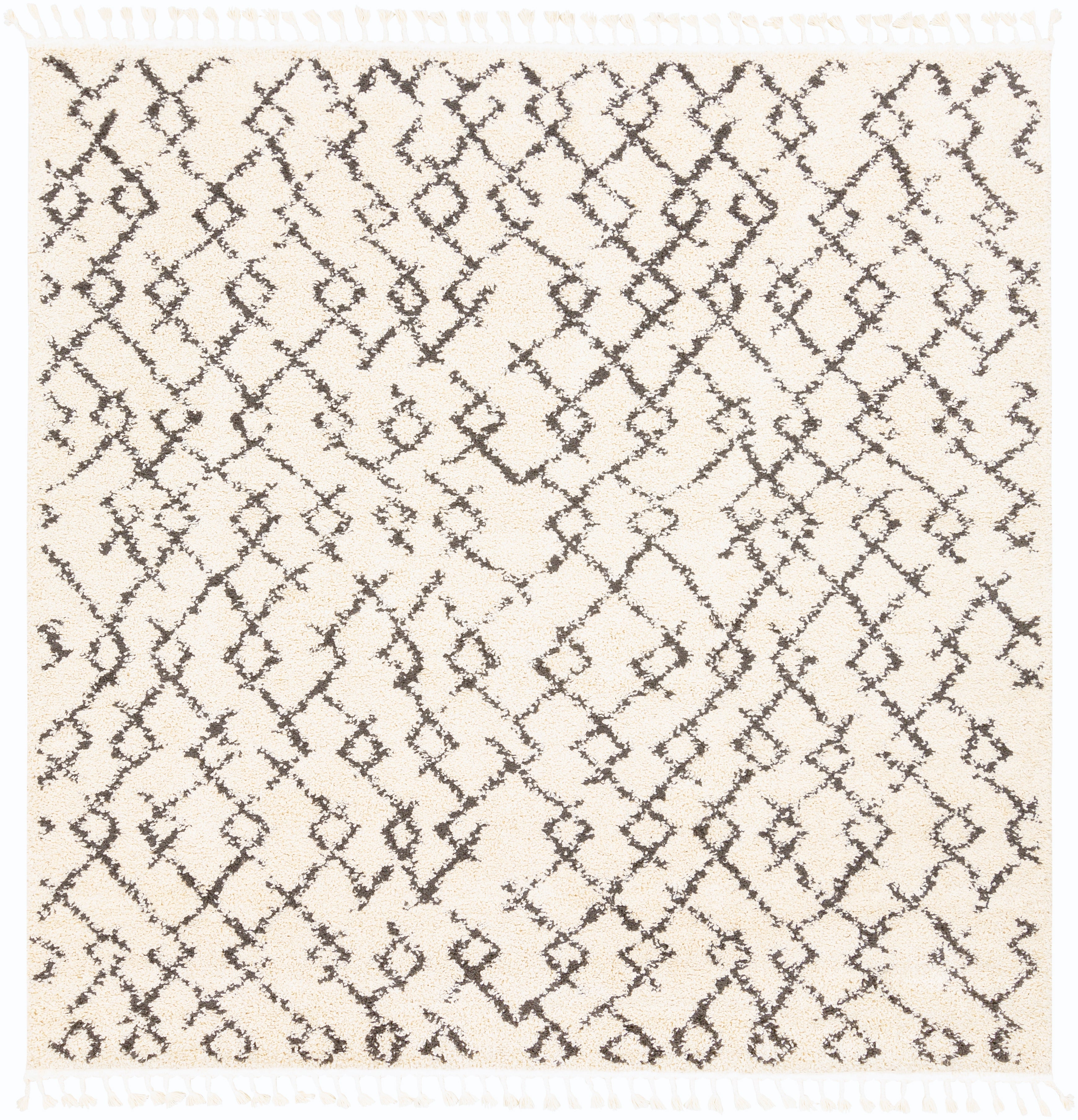 Surya Berber Shag BBE-2301 Beige Area Rug by LIVABLISS