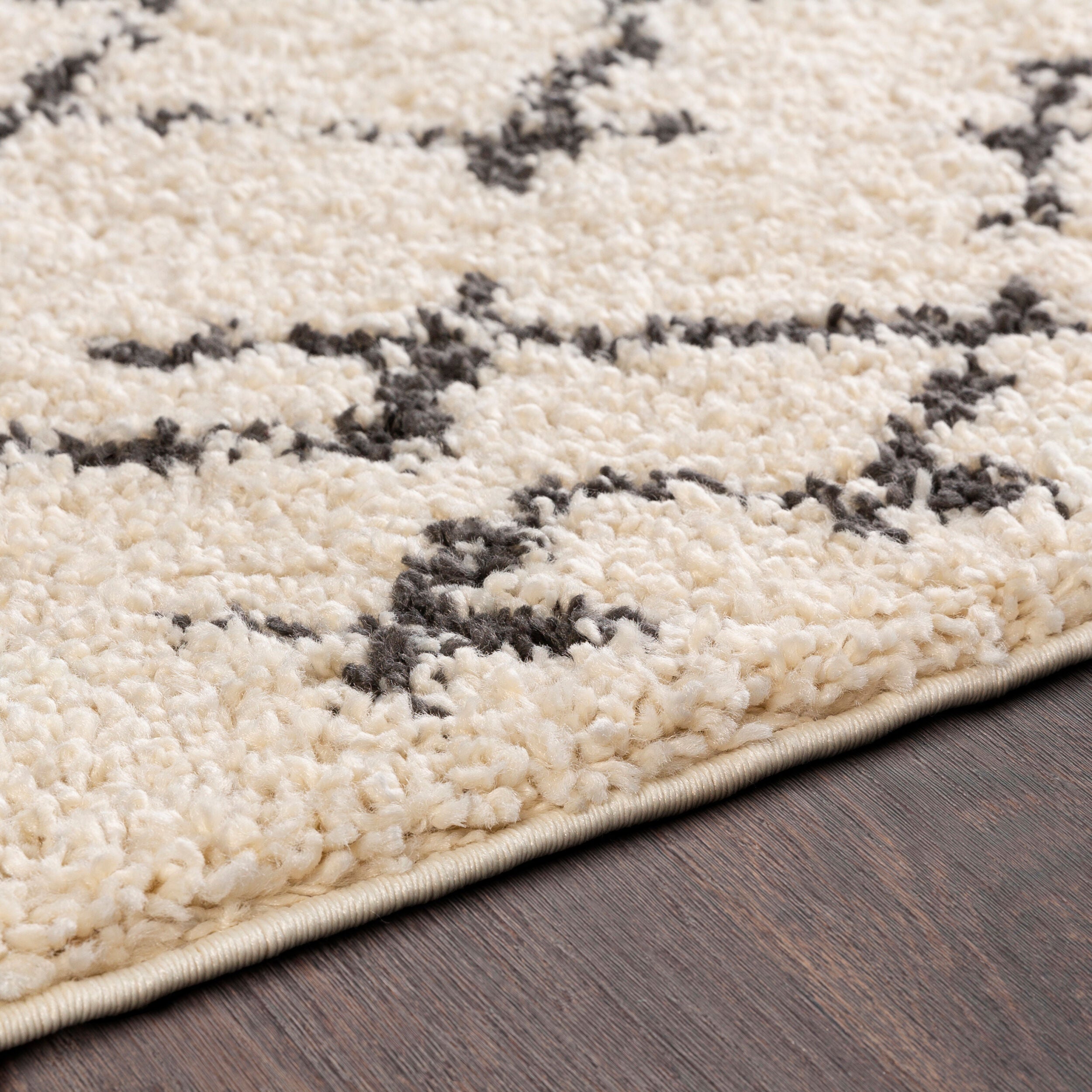 Surya Berber Shag BBE-2301 Beige Area Rug by LIVABLISS