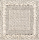 Surya Bahar BHR-2321 Beige Area Rug by LIVABLISS