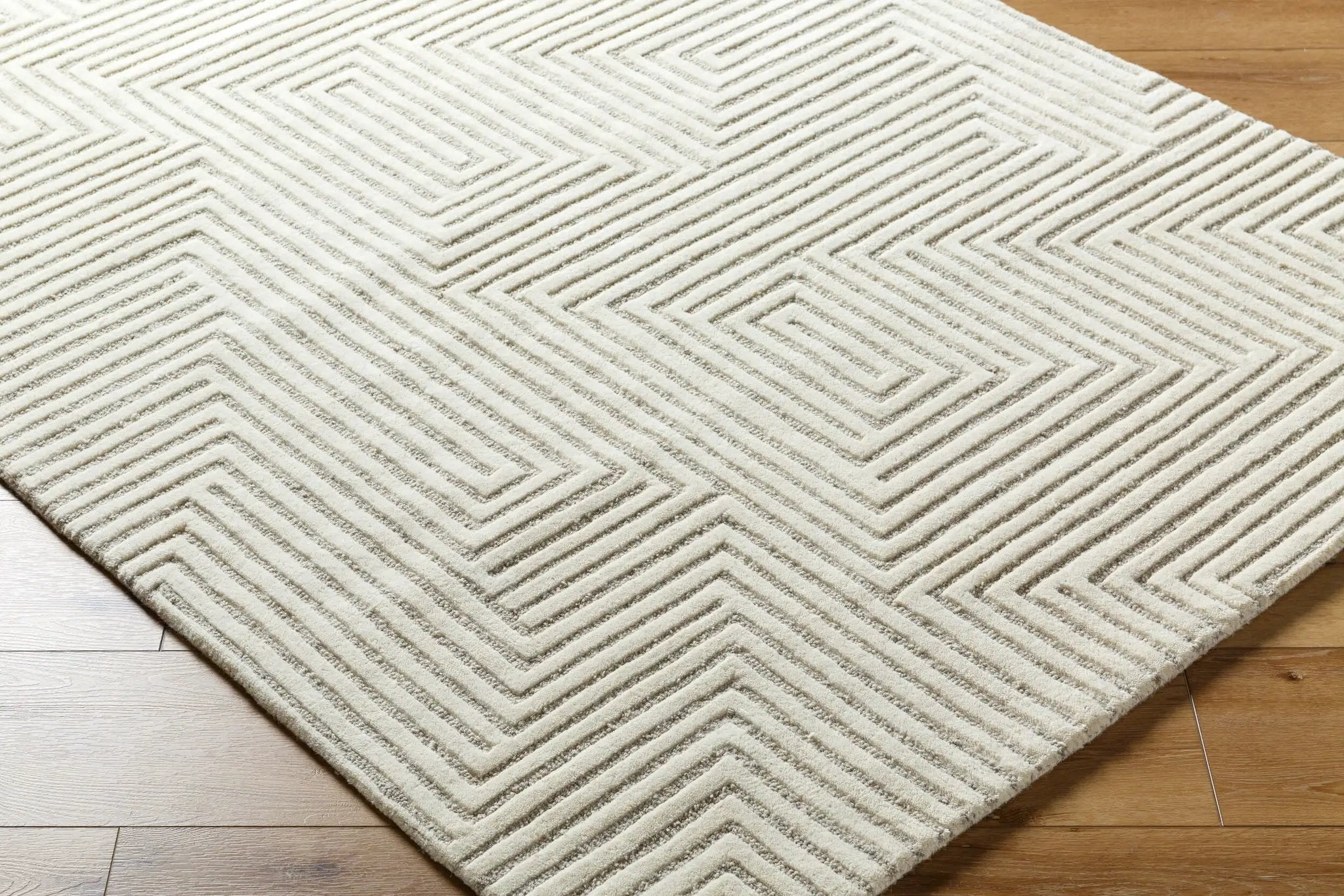 Brook BKO-2320 Ivory Area Rug by LIVABLISS