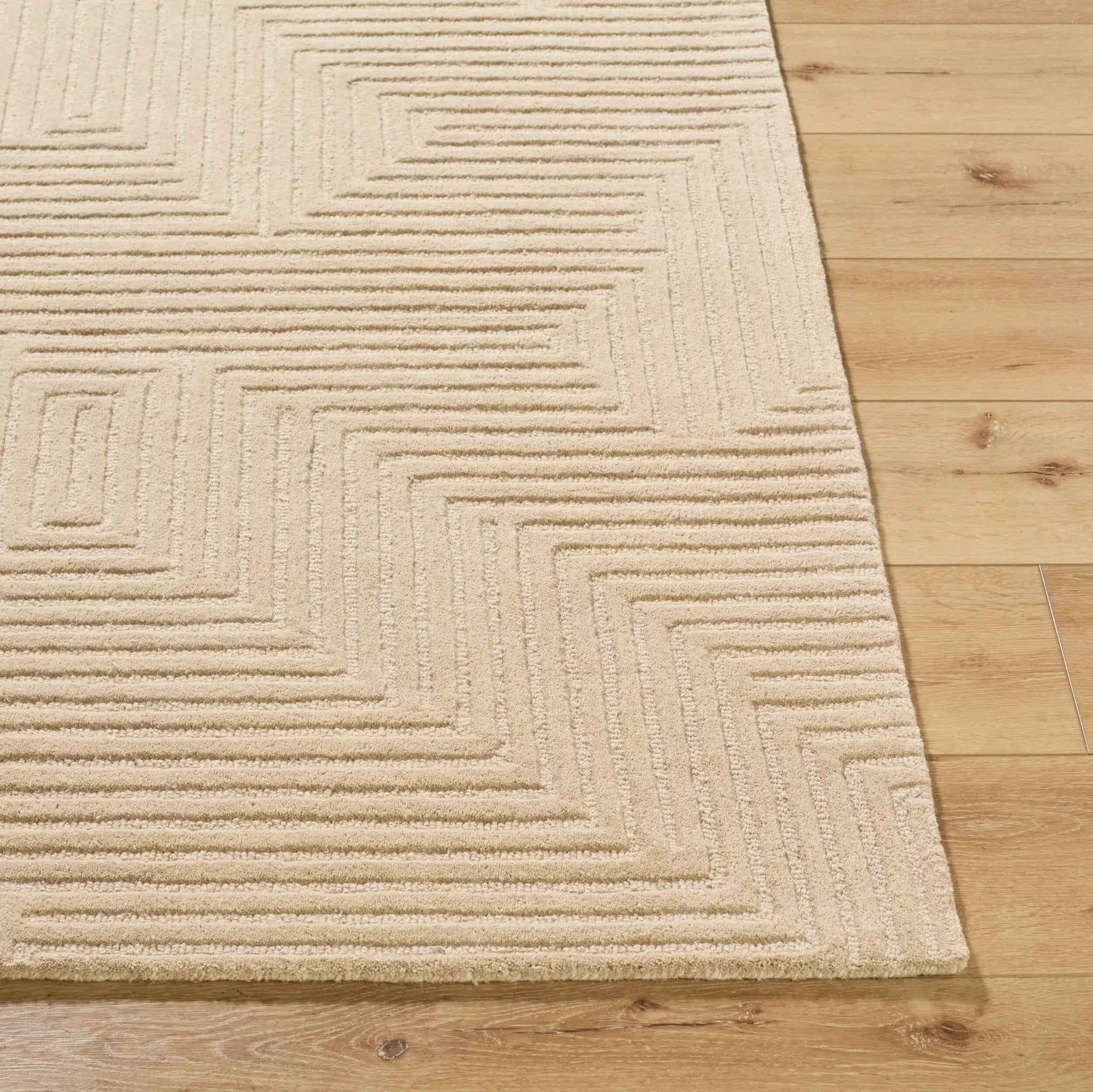 Brook BKO-2369 Taupe Area Rug by LIVABLISS