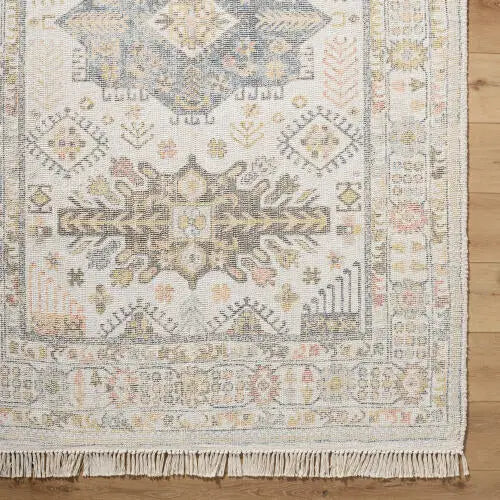 Belfast BLF-2300 Ivory Area Rug by LIVABLISS