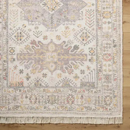 Belfast BLF-2301 Ivory Area Rug by LIVABLISS