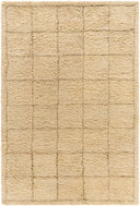 Surya Beni Moroccan BMC-2305 Beige Area Rug by LIVABLISS
