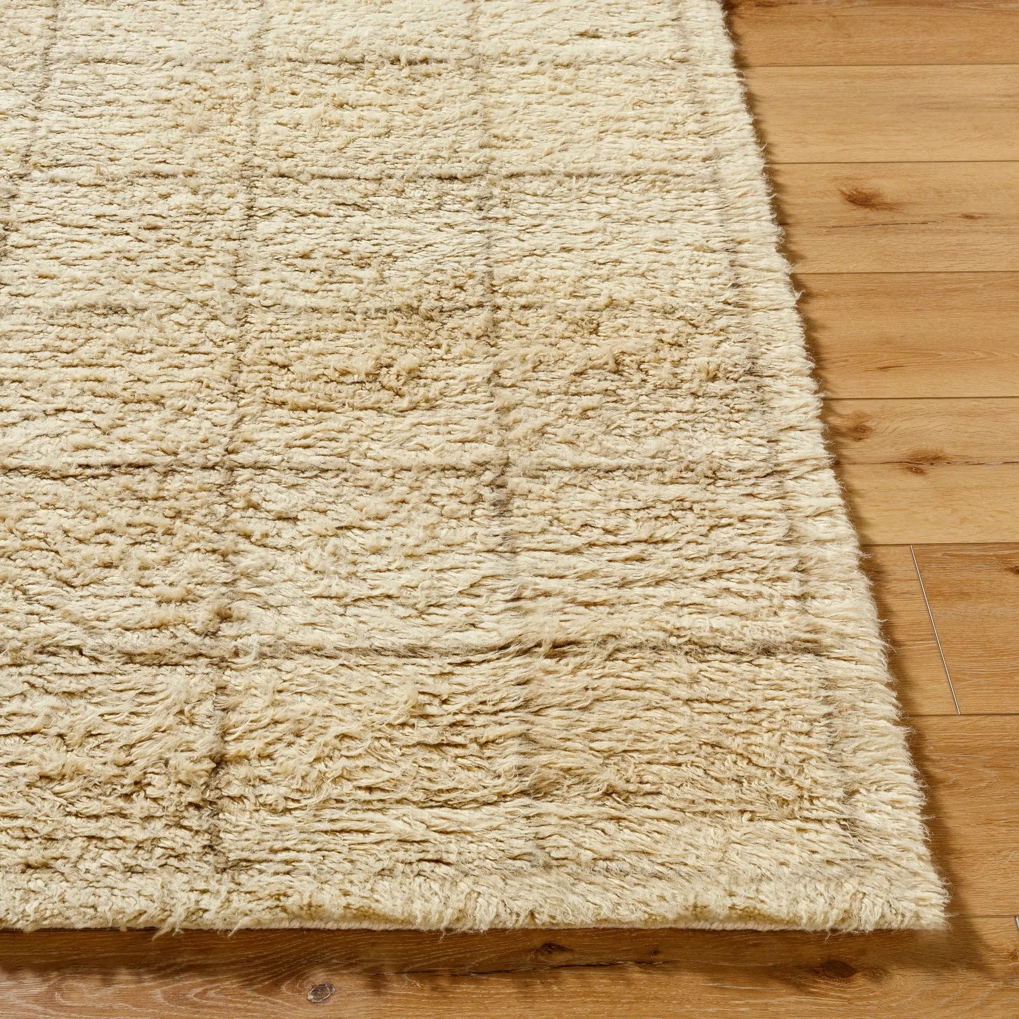 Beni Moroccan BMC-2305 Beige Area Rug by LIVABLISS