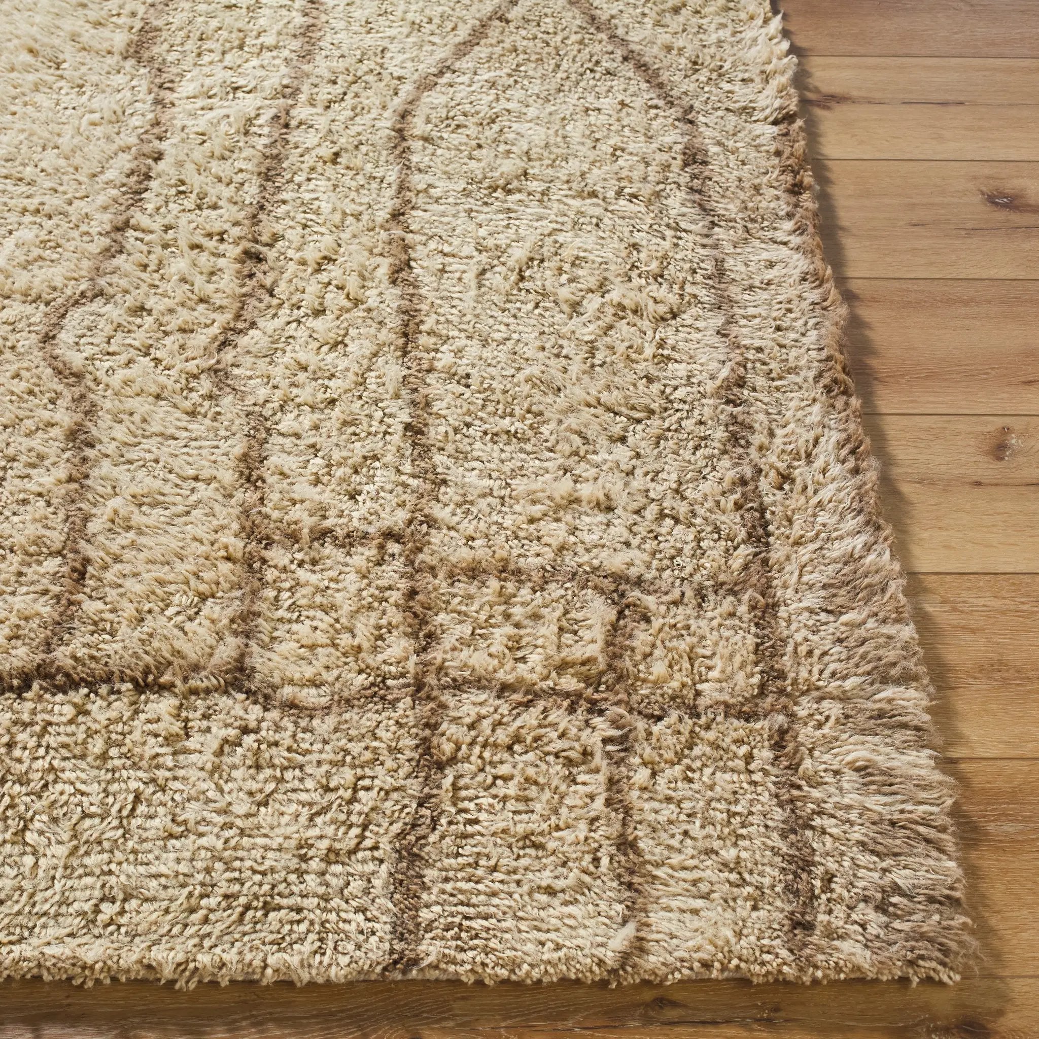 Beni Moroccan BMC-2309 Beige Area Rug by LIVABLISS