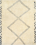 Surya Beni Moroccan BMC-2311 Ivory Area Rug by LIVABLISS