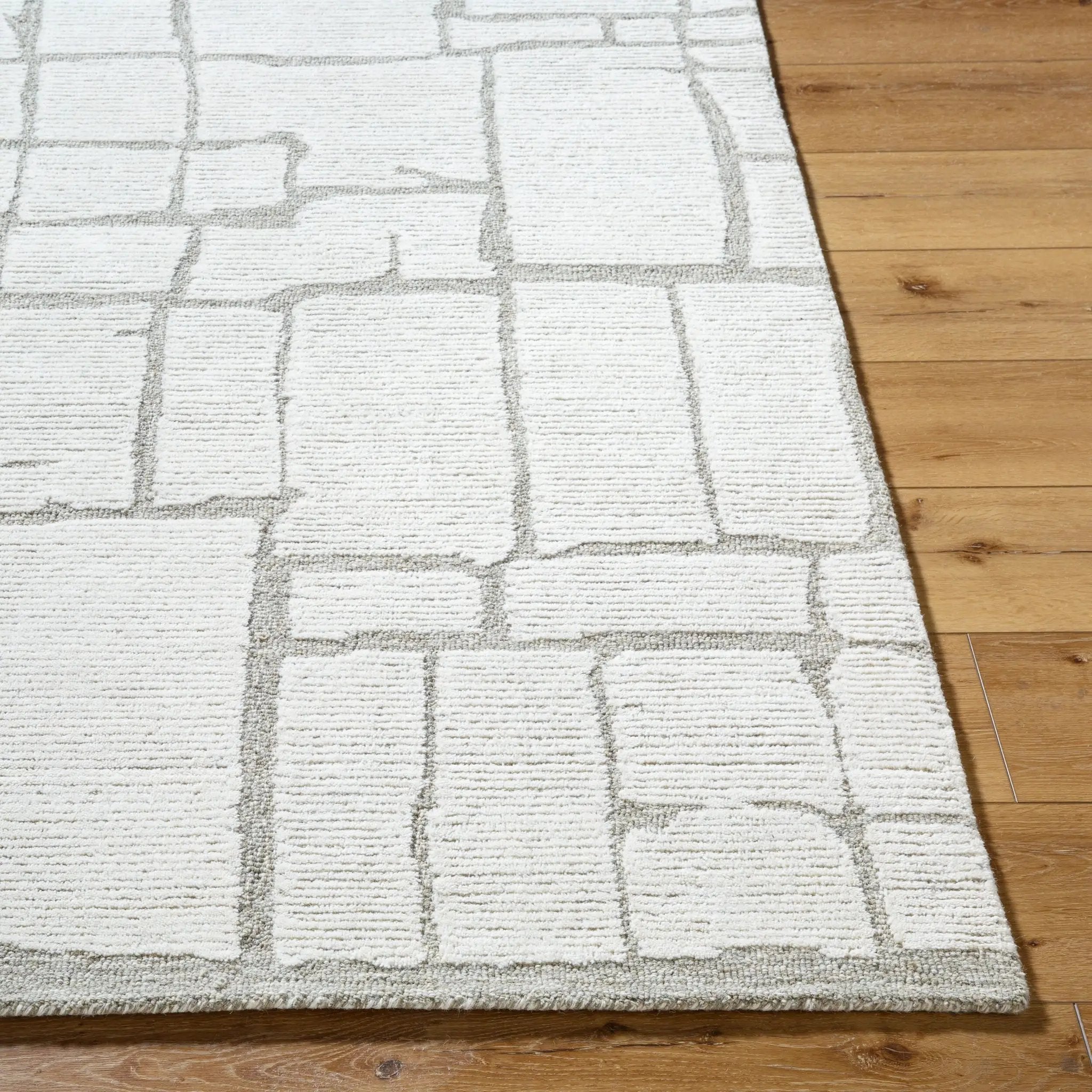 Bianca BNC-2301 Ivory Area Rug by LIVABLISS