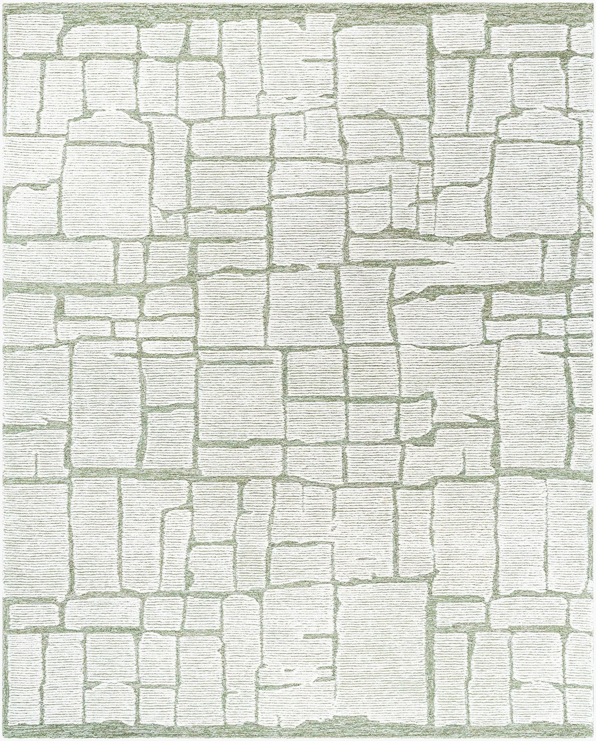 Bianca BNC-2302 Sage Area Rug by LIVABLISS