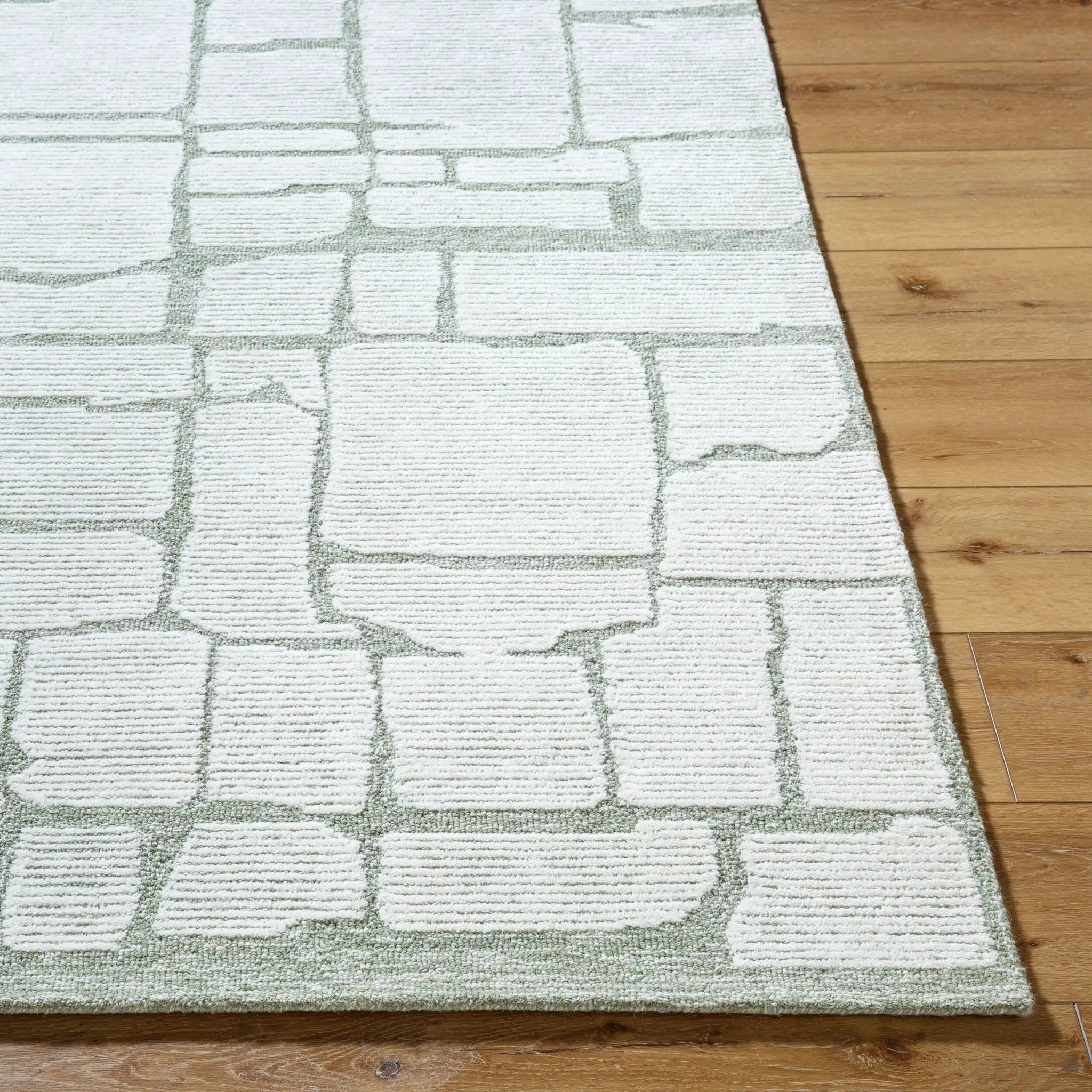 Bianca BNC-2302 Sage Area Rug by LIVABLISS