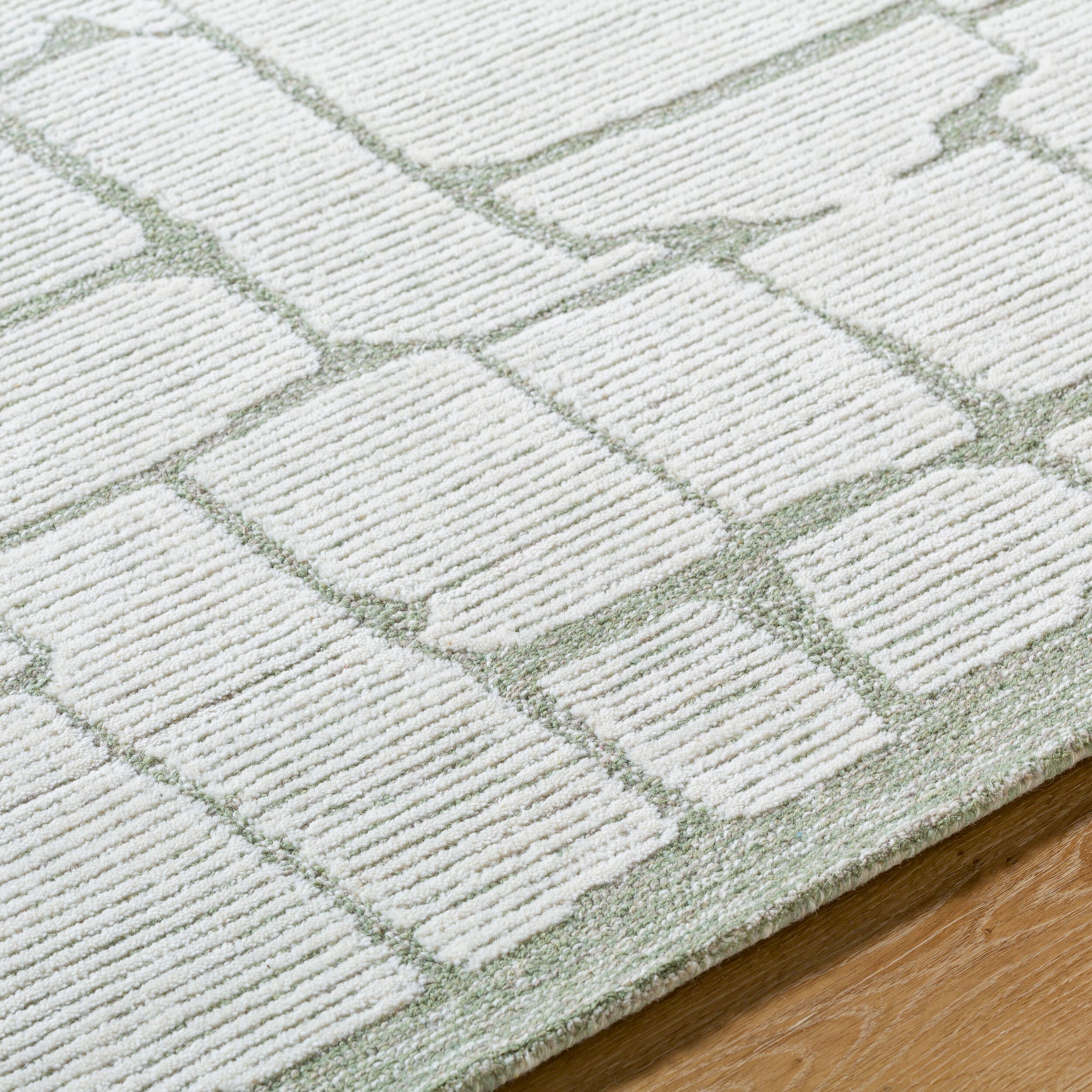 LIVABLISS Bianca BNC-2302 Sage Area Rug