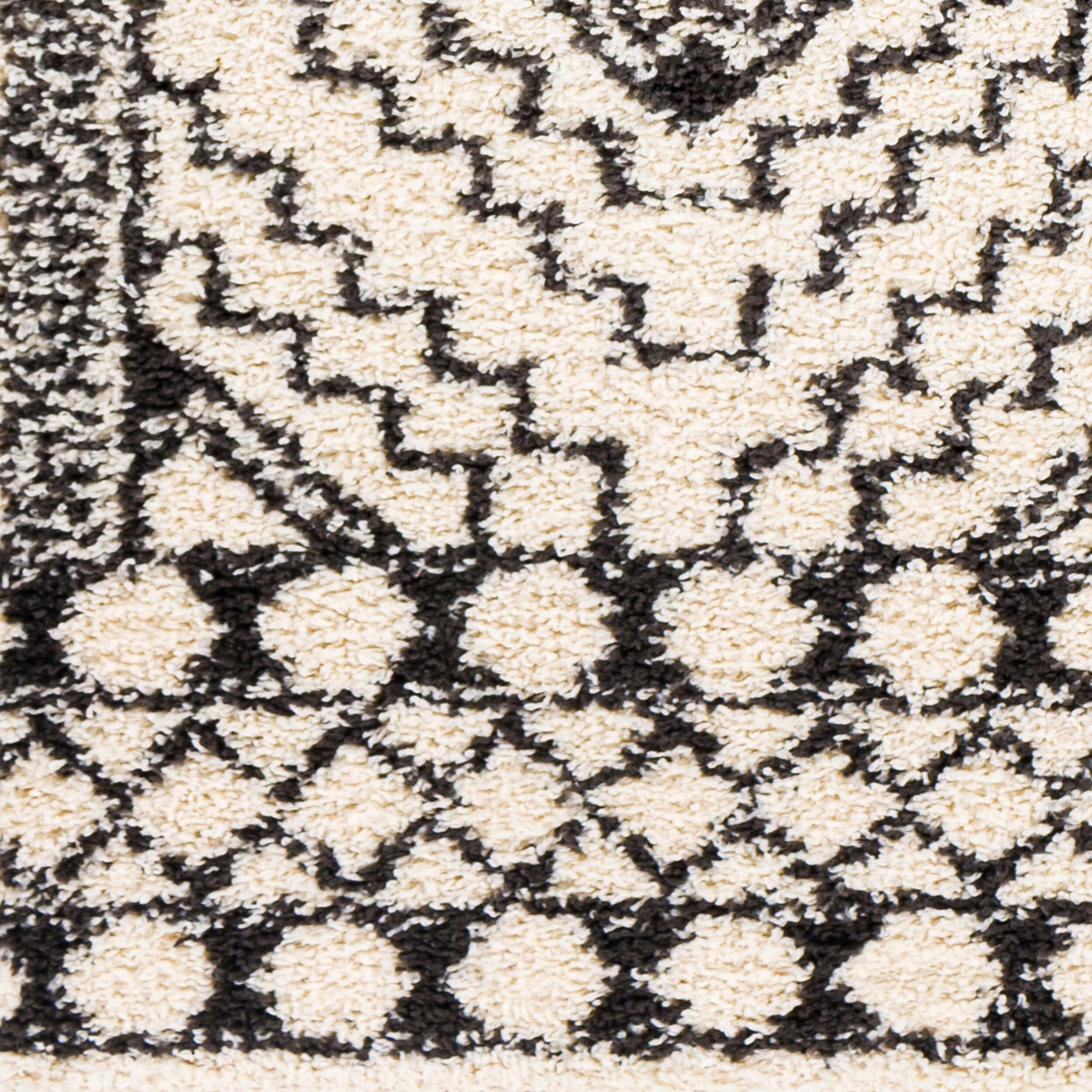 Surya Beni Shag BSH-2300 Off-White Area Rug by LIVABLISS