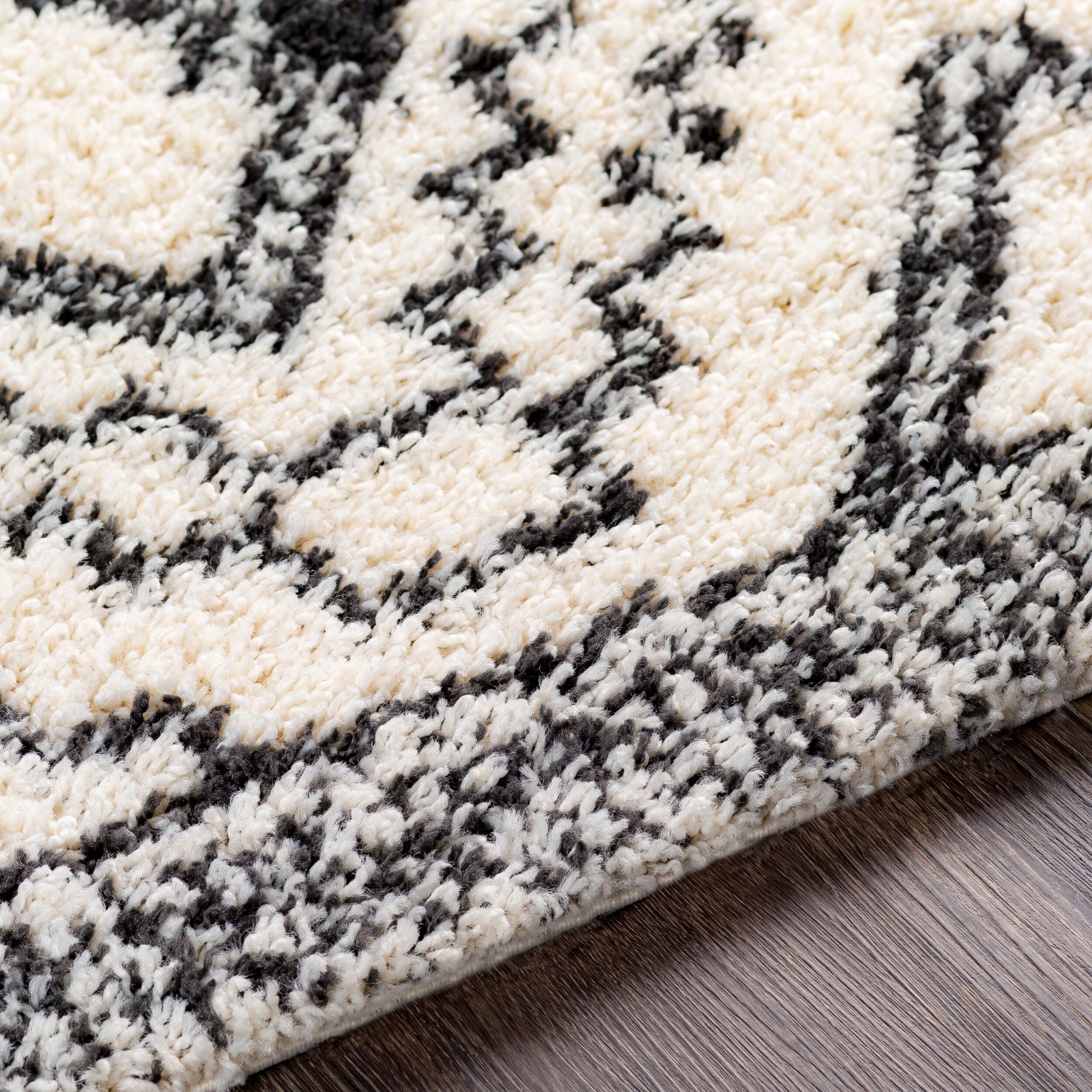Surya Beni Shag BSH-2300 Off-White Area Rug by LIVABLISS