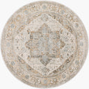 LIVABLISS Brunswick BWK-2318 Dusty Sage Area Rug