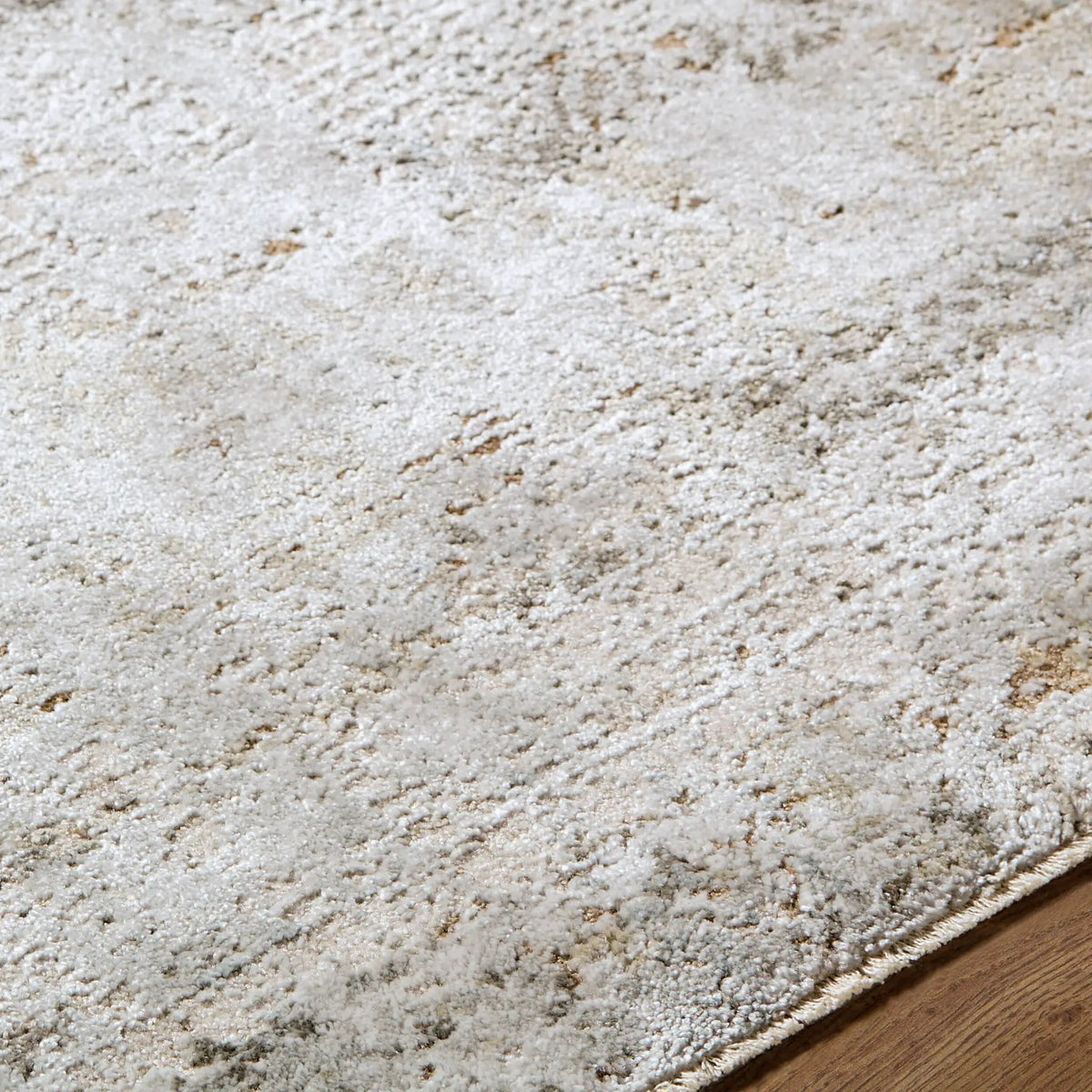 Brunswick BWK-2346 Light-Gray Area Rug by LIVABLISS