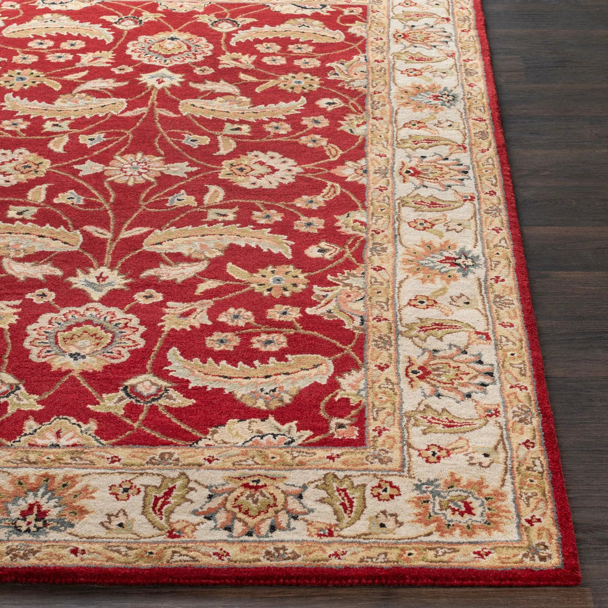 Caesar CAE-1022 Rust Area Rug by LIVABLISS