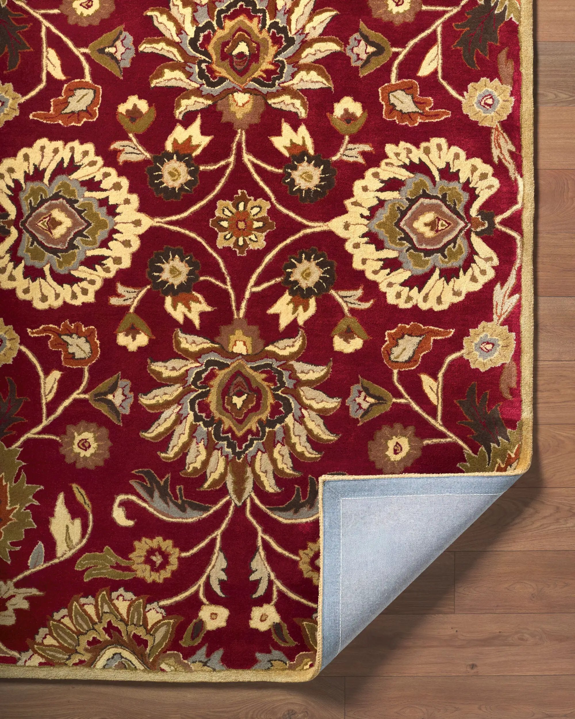 Caesar CAE-1061 Dark-Red Area Rug by LIVABLISS