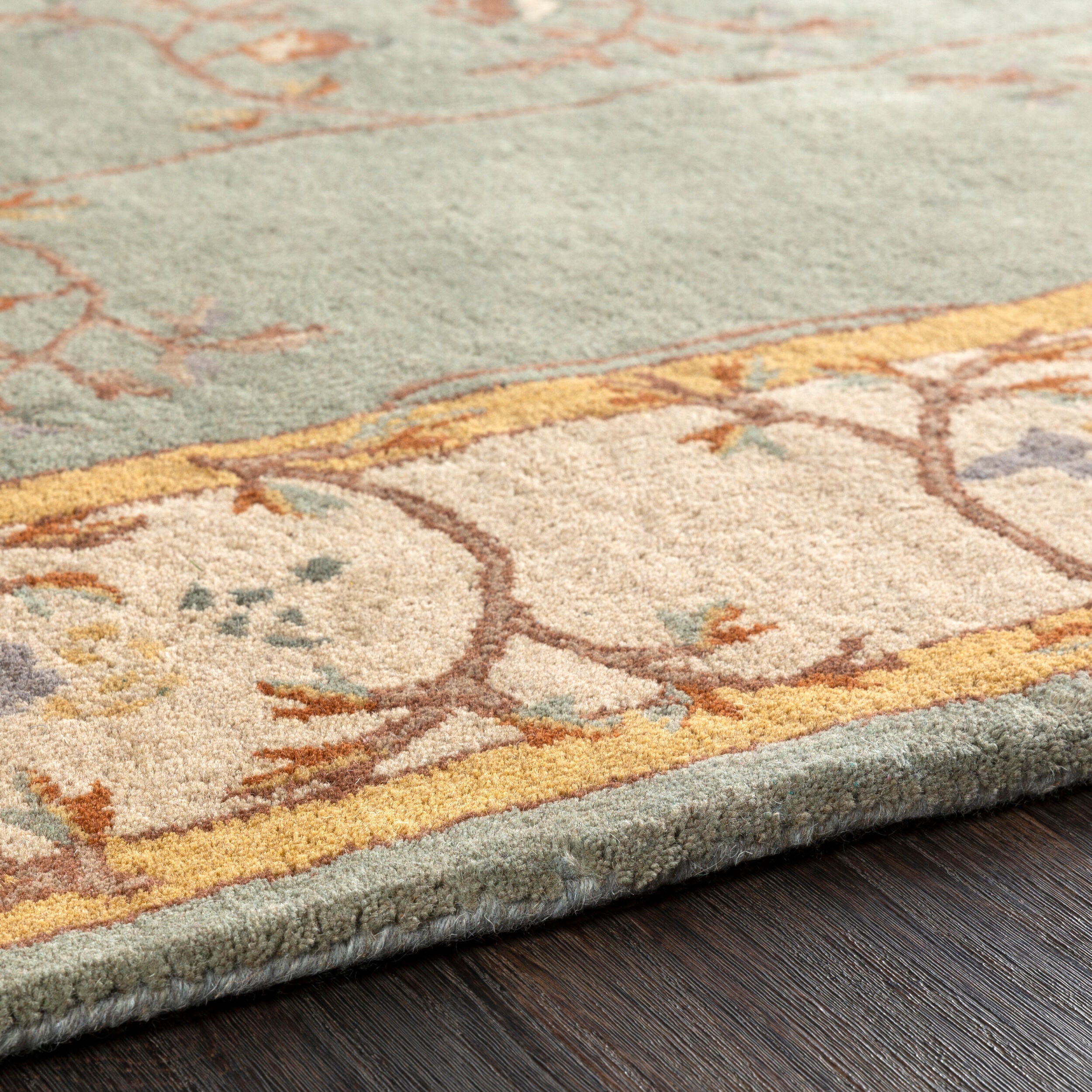 Surya Caesar CAE-1100 Sage Area Rug by LIVABLISS