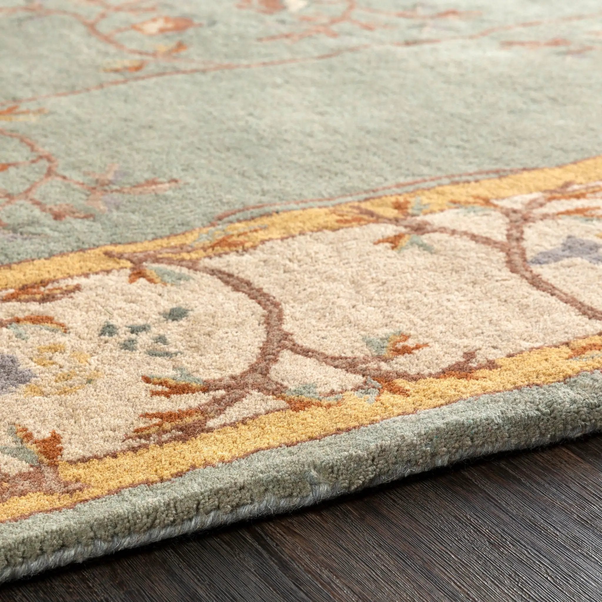 Caesar CAE-1100 Sage Area Rug by LIVABLISS