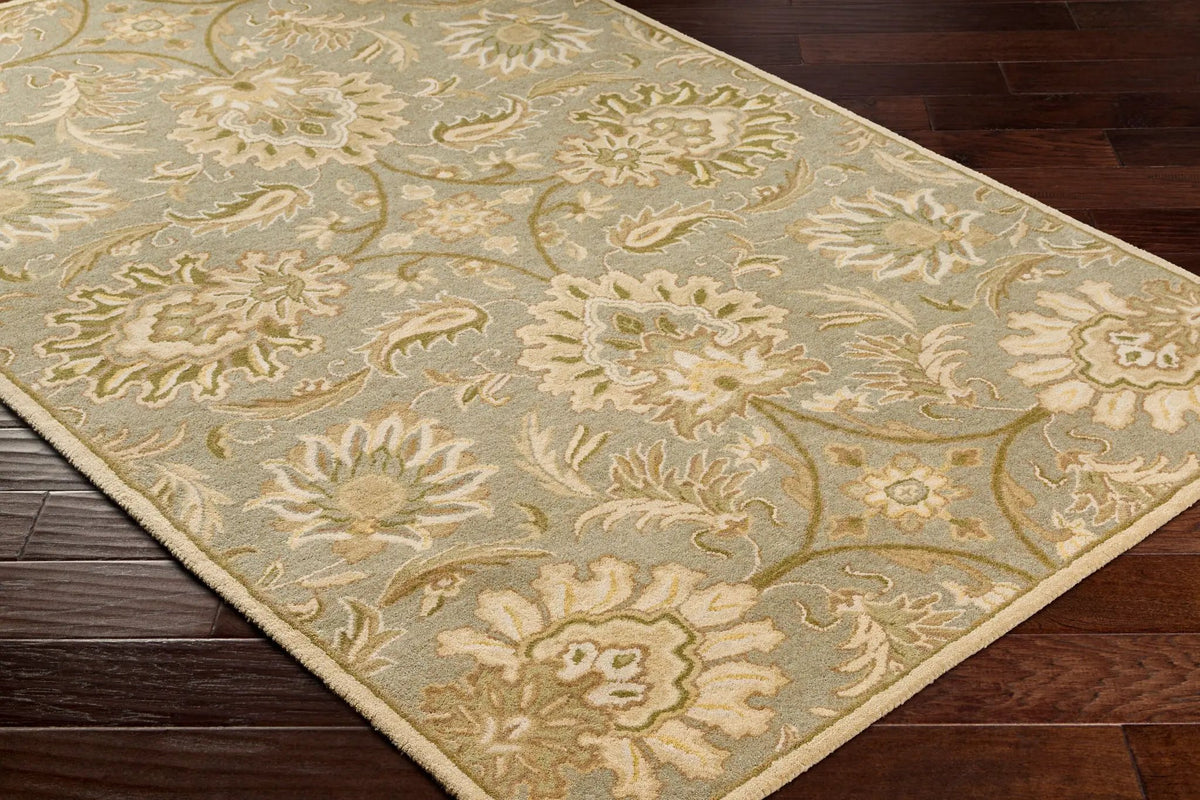 Caesar CAE-1111 Sage Area Rug by LIVABLISS