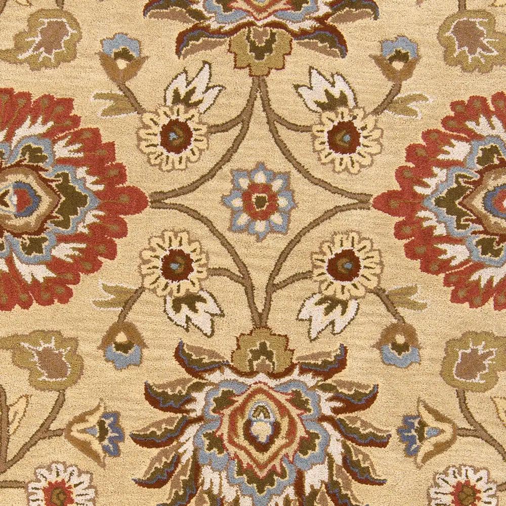 Caesar CAE-1116 Tan Area Rug by LIVABLISS