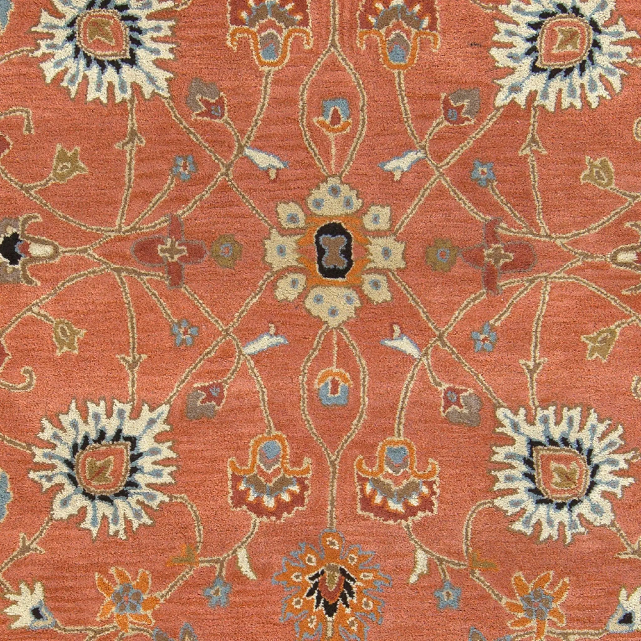 Caesar CAE-1119 Rust Area Rug by LIVABLISS