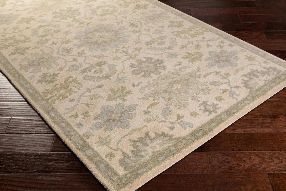 Caesar CAE-1161 Light-Beige Area Rug by LIVABLISS