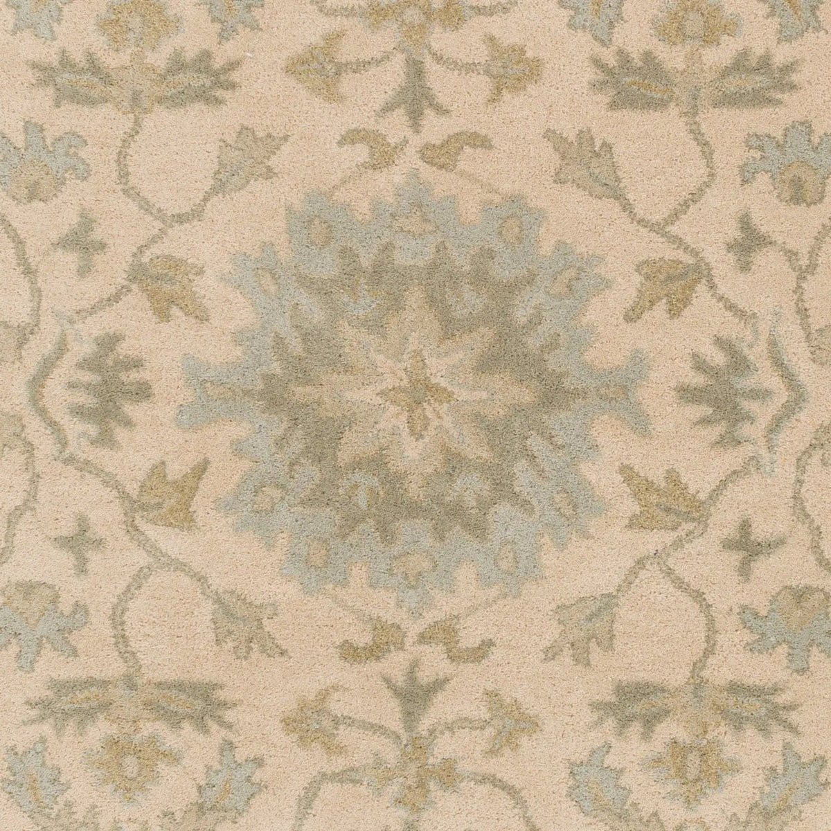 Caesar CAE-1161 Light-Beige Area Rug by LIVABLISS