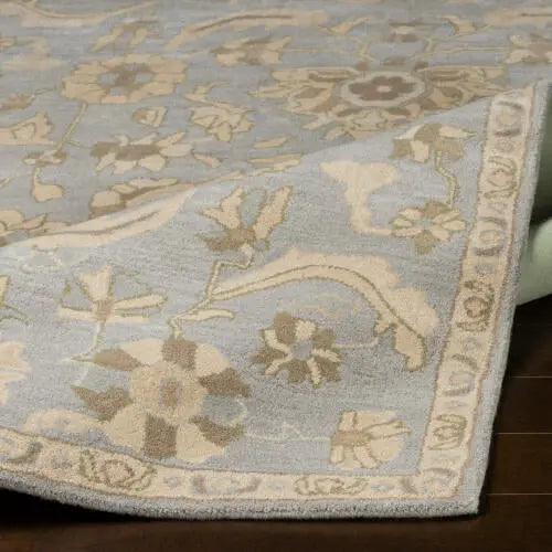 Caesar CAE-1162 Pale-Blue Area Rug by LIVABLISS