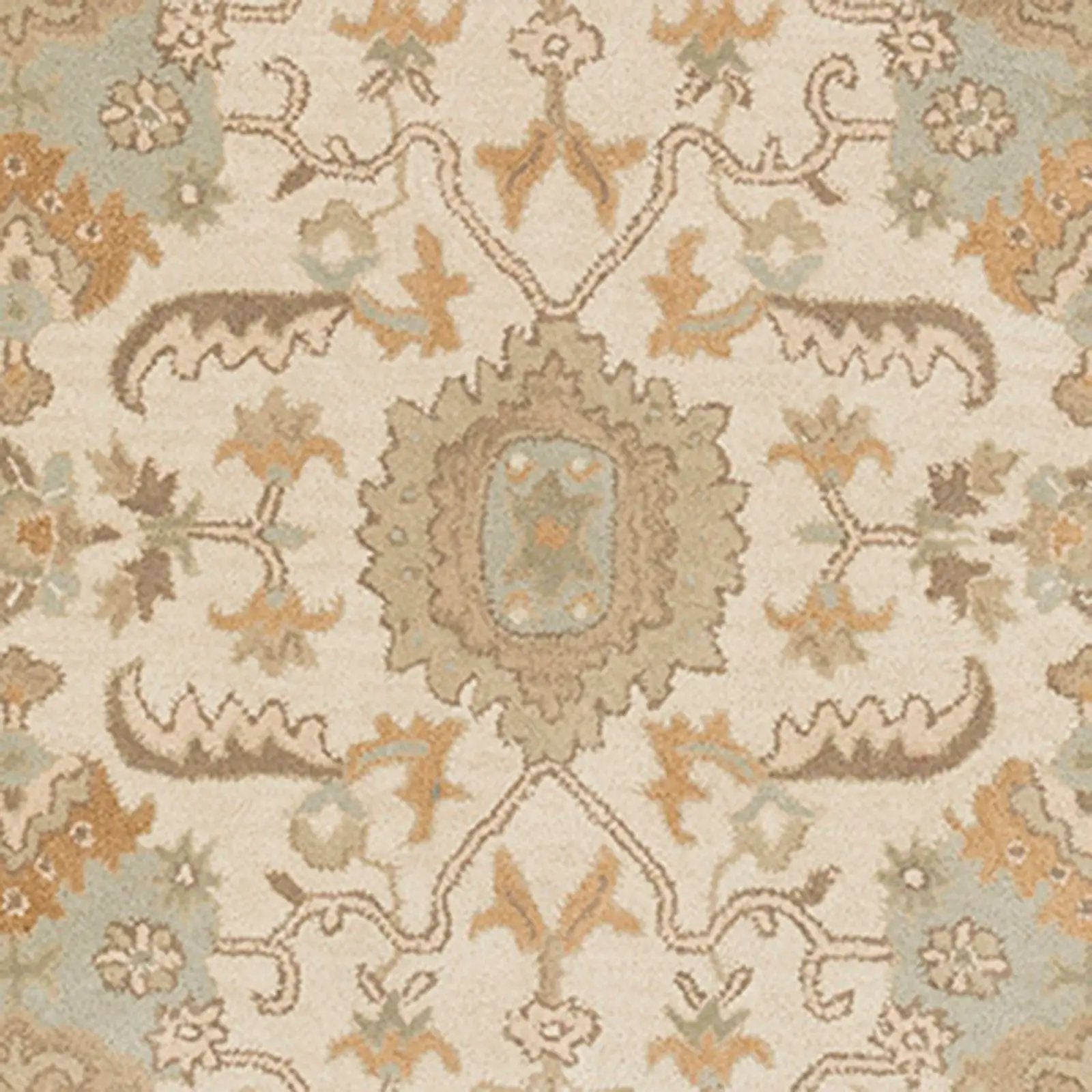 Caesar CAE-1166 Cream Area Rug by LIVABLISS