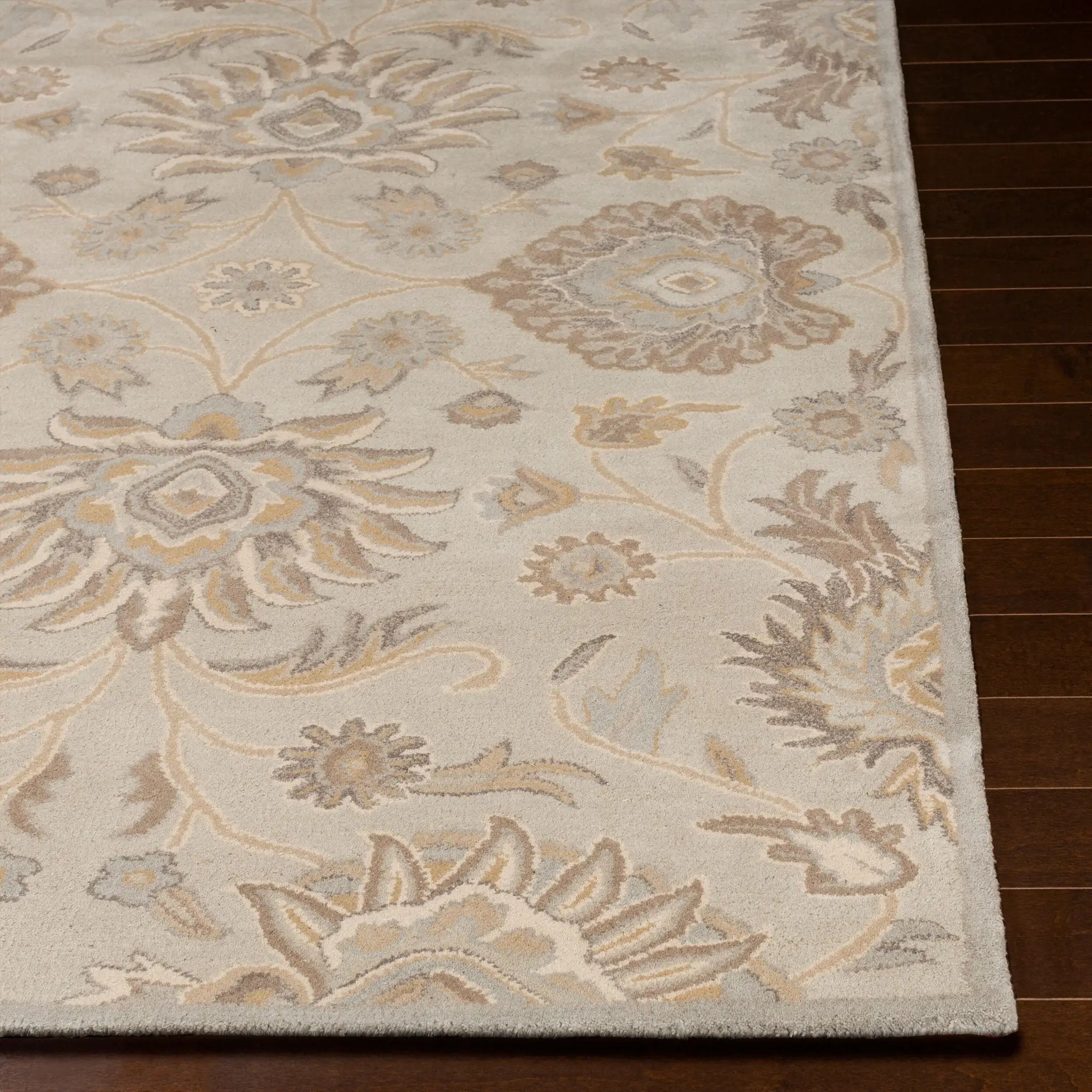Caesar CAE-1192 Taupe Area Rug by LIVABLISS