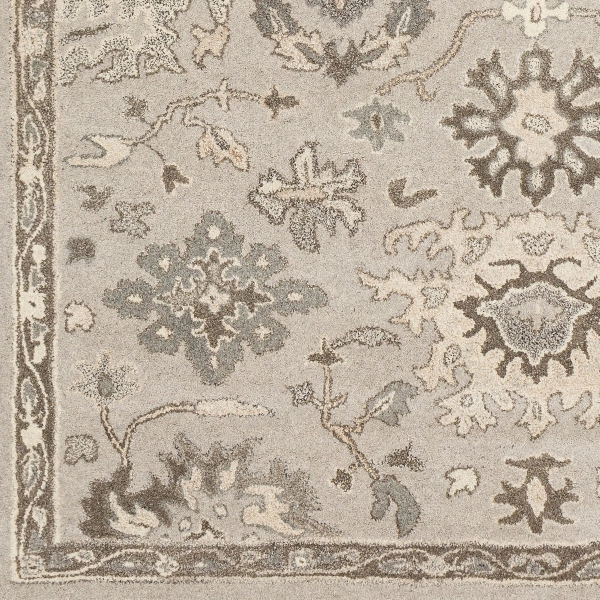 Caesar CAE-1197 Taupe Area Rug by LIVABLISS