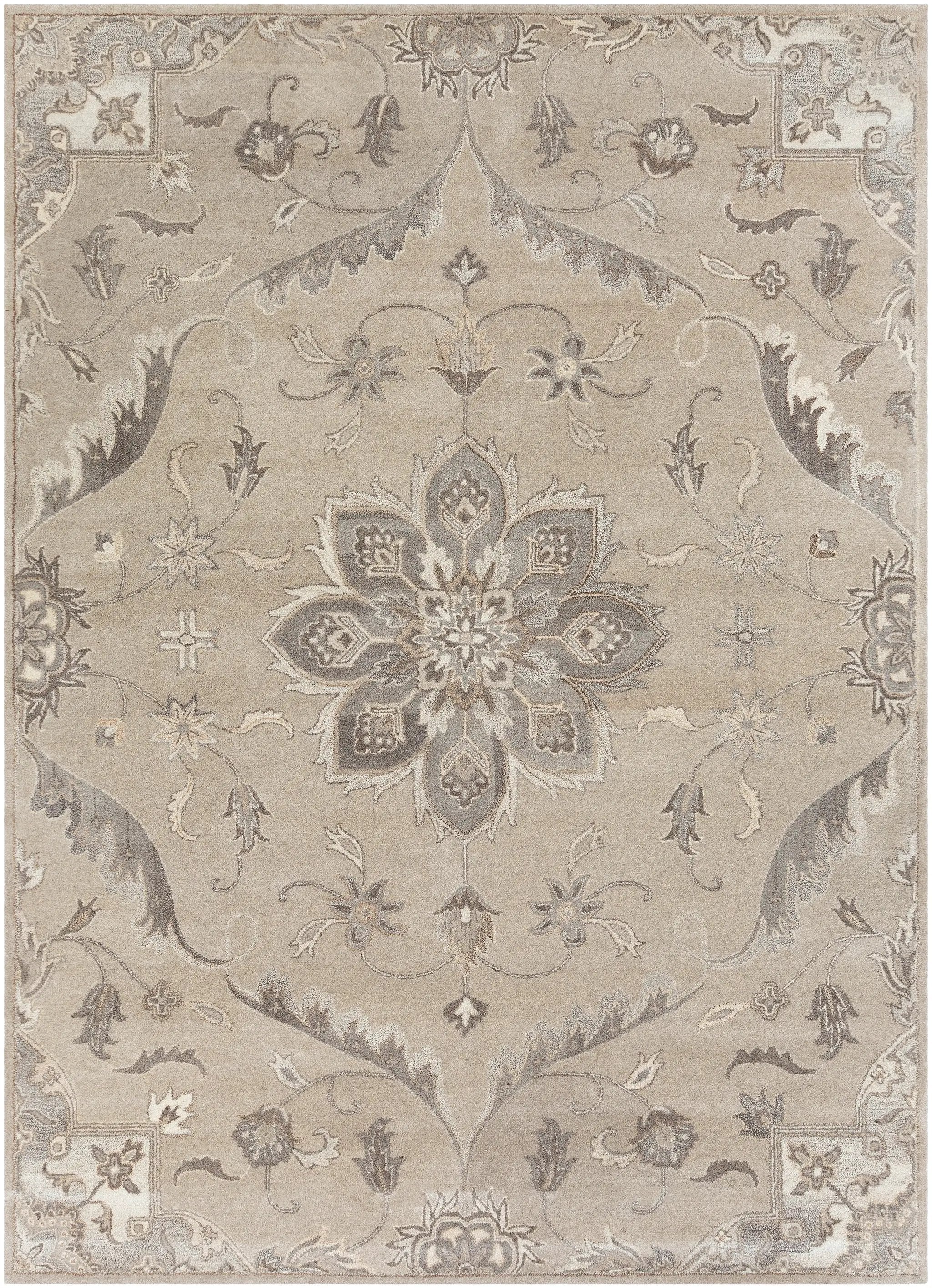 Caesar CAE-1201 Taupe Area Rug by LIVABLISS