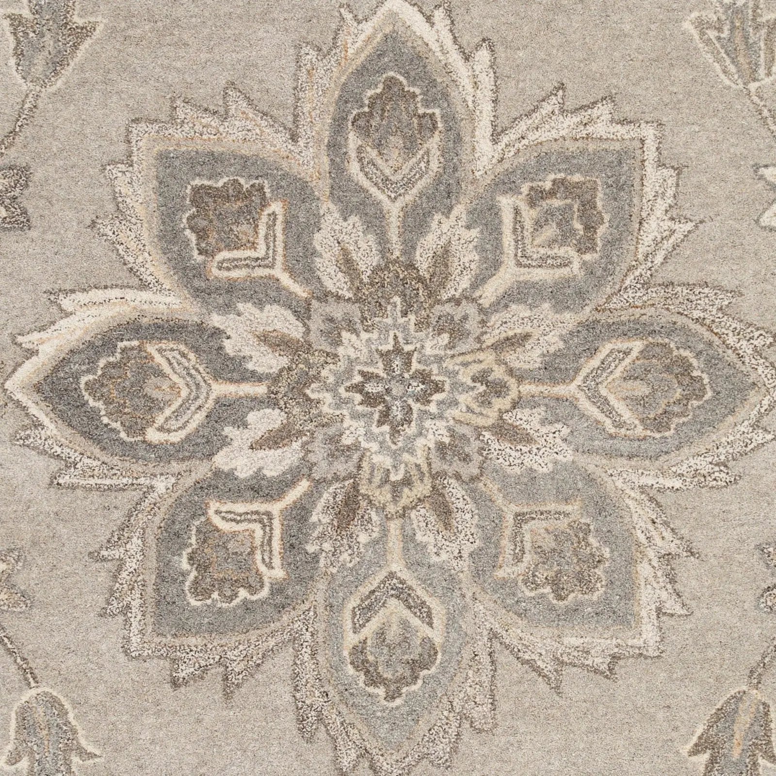 Caesar CAE-1201 Taupe Area Rug by LIVABLISS