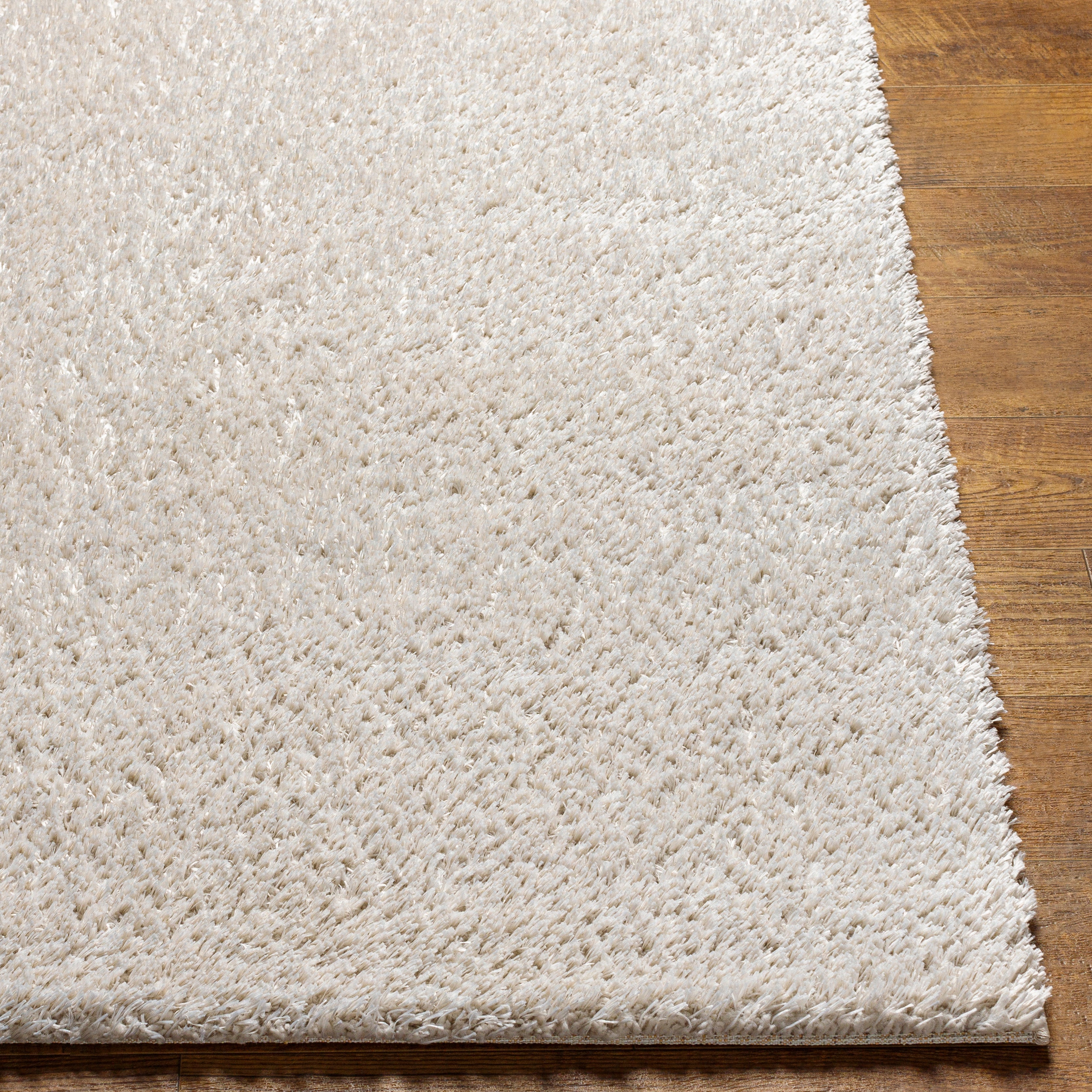 Surya Cloudy Shag CDG-2307 Off-White Area Rug by LIVABLISS
