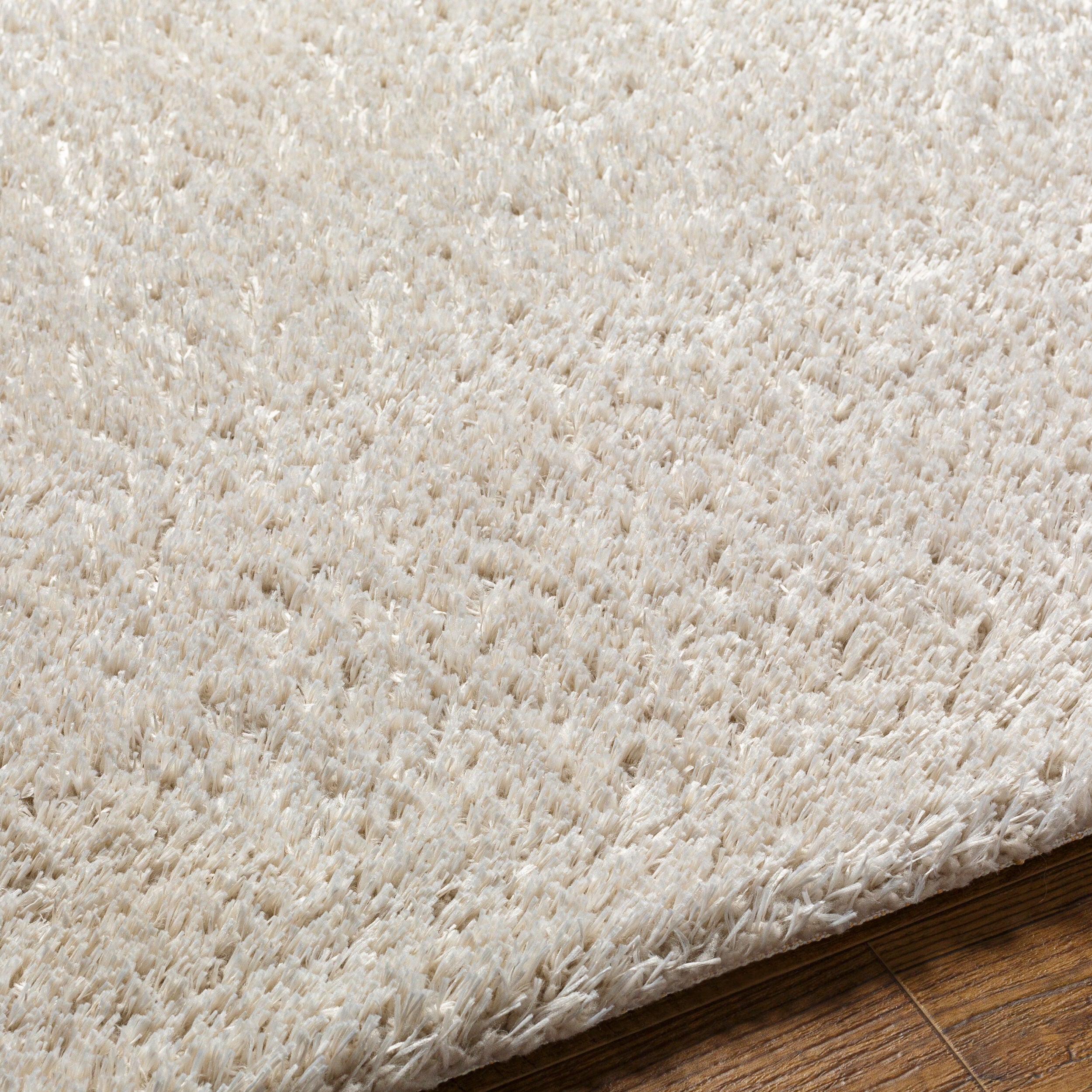 Surya Cloudy Shag CDG-2307 Off-White Area Rug by LIVABLISS