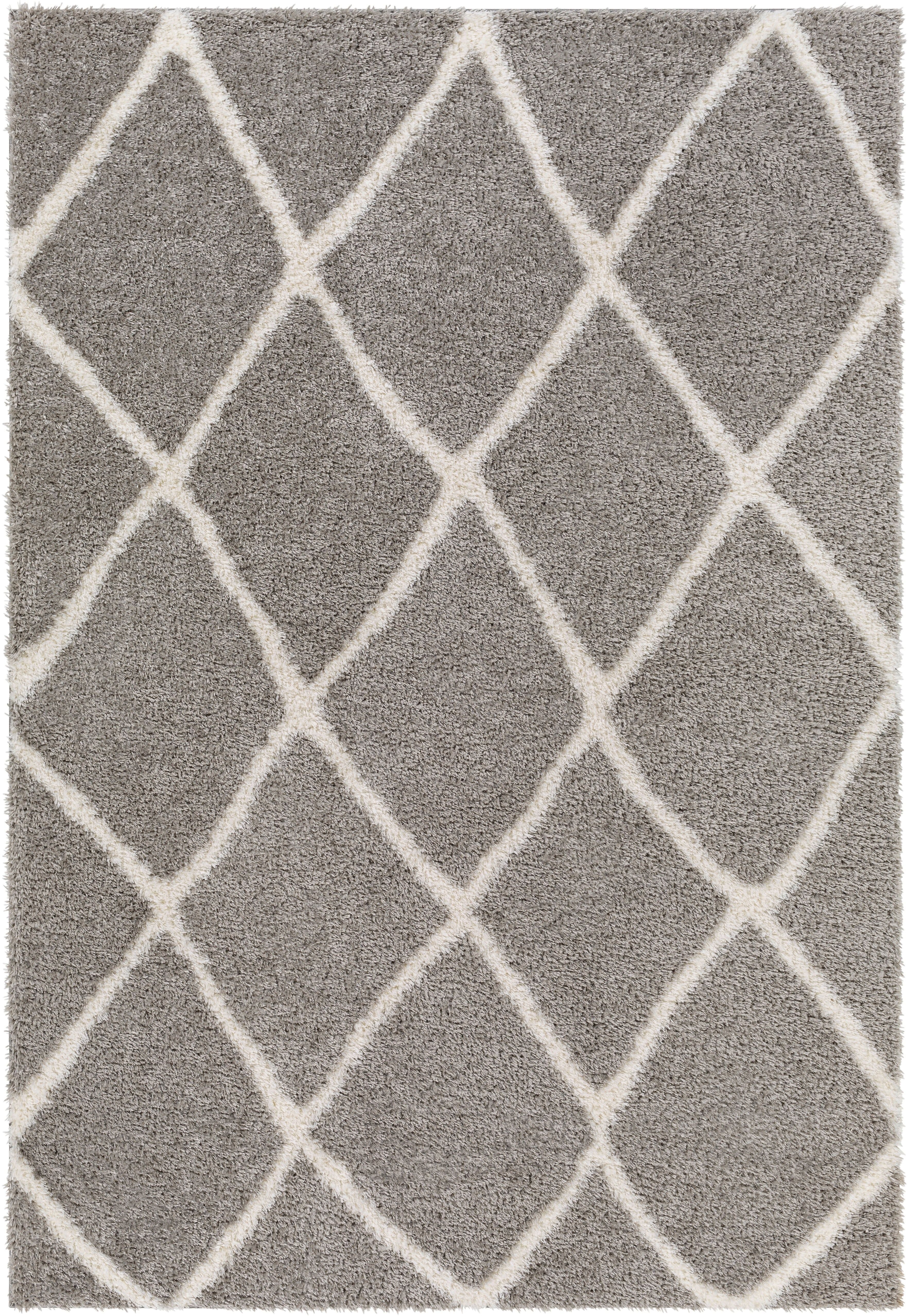 Surya Cloudy Shag CDG-2313 Charcoal Area Rug by LIVABLISS